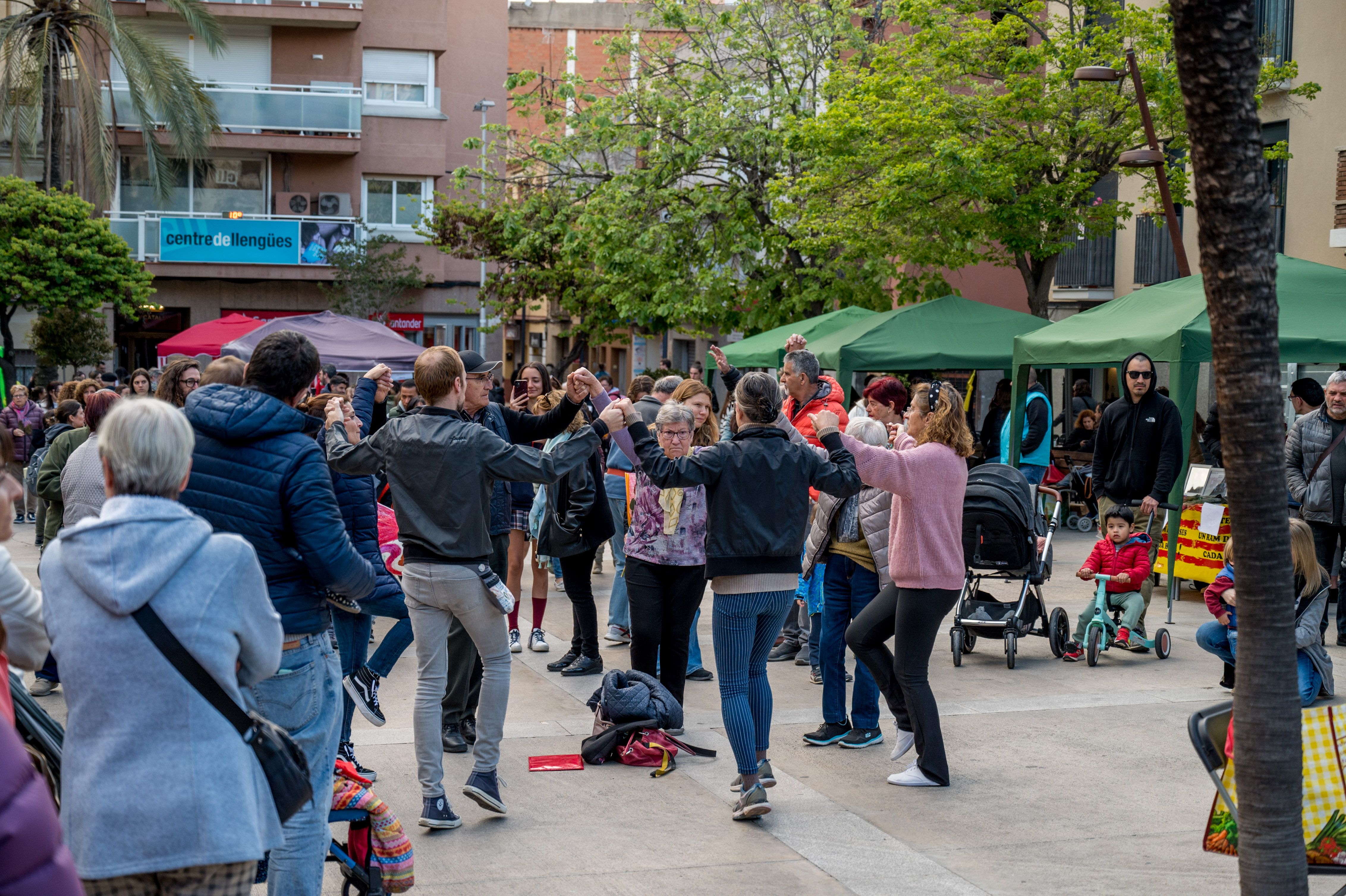 Sant Jordi 2024. FOTO: Carmelo Jiménez