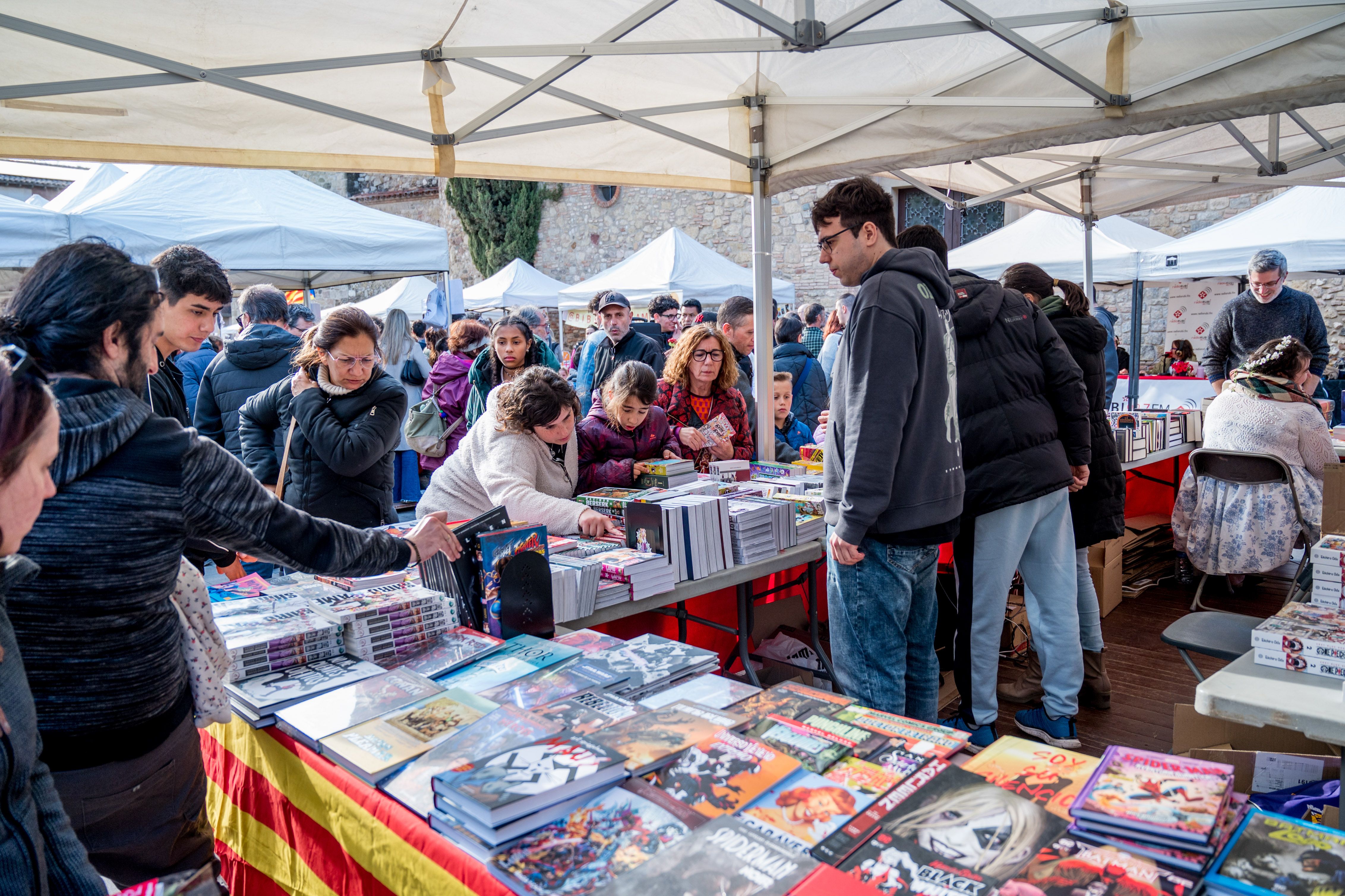 Sant Jordi 2024. FOTO: Carmelo Jiménez