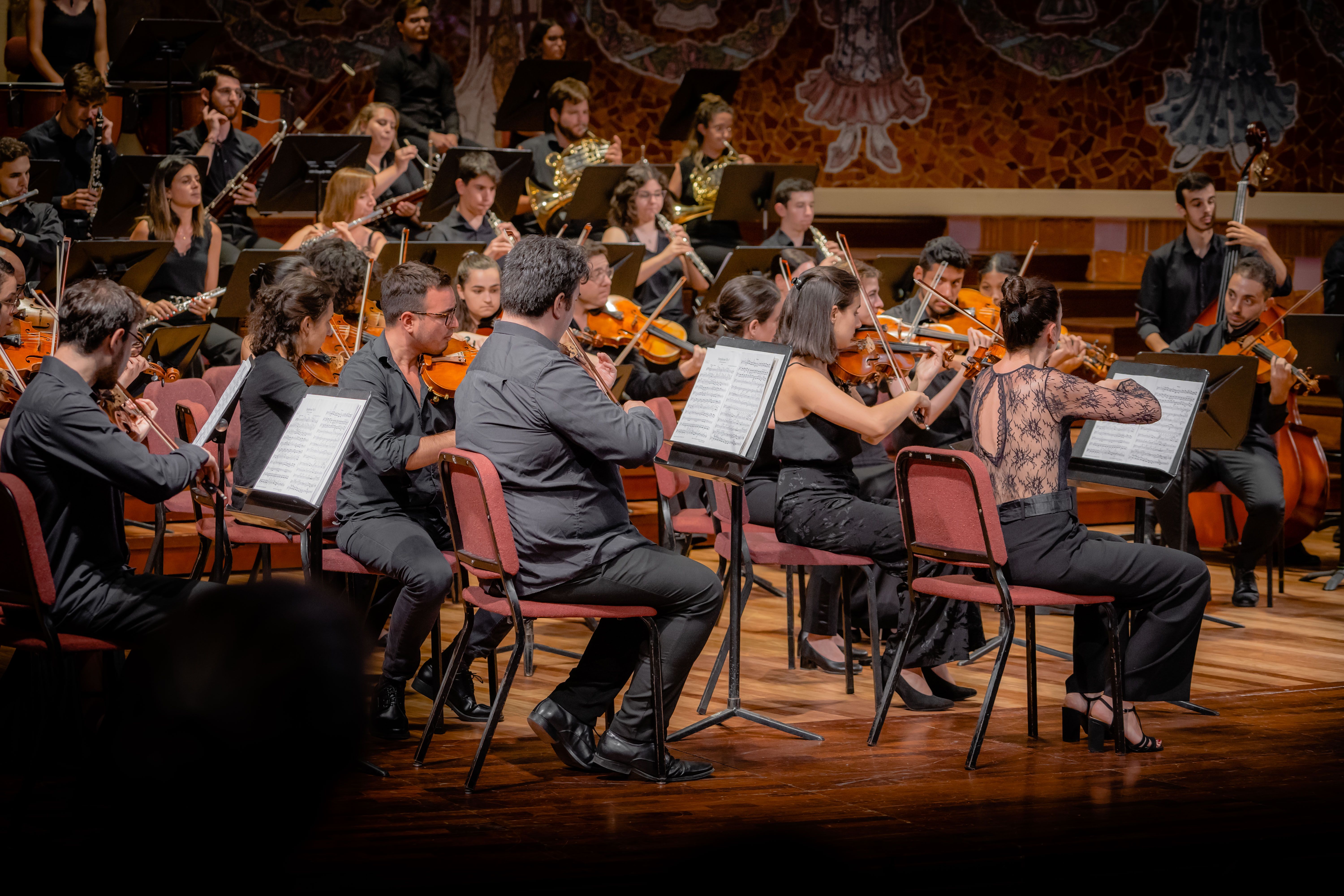 L'Orquestra Simfònica Segle XXI oferirà un concert homenatge al compositor Anton Bruckner. FOTO: Cedida L'Orquestra Simfònica Segle XXI oferirà un concert homenatge al compositor Anton Bruckner. FOTO: Cedida
