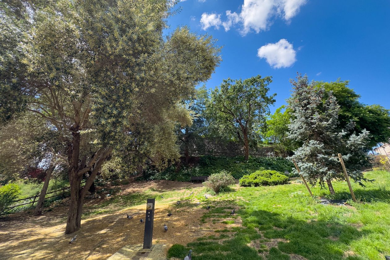 La setmana del 15 al 21 de juliol ha estat carregada de novetats per a Rubí. Foto: Tw @AjRubi