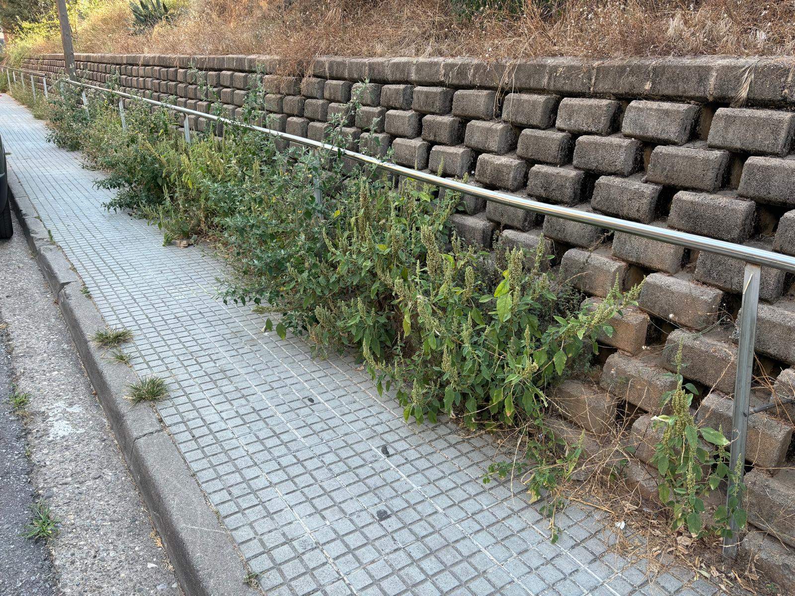 Barana mal posicionada a Can Fatjó. Foto: M. Carmen Alcazar.