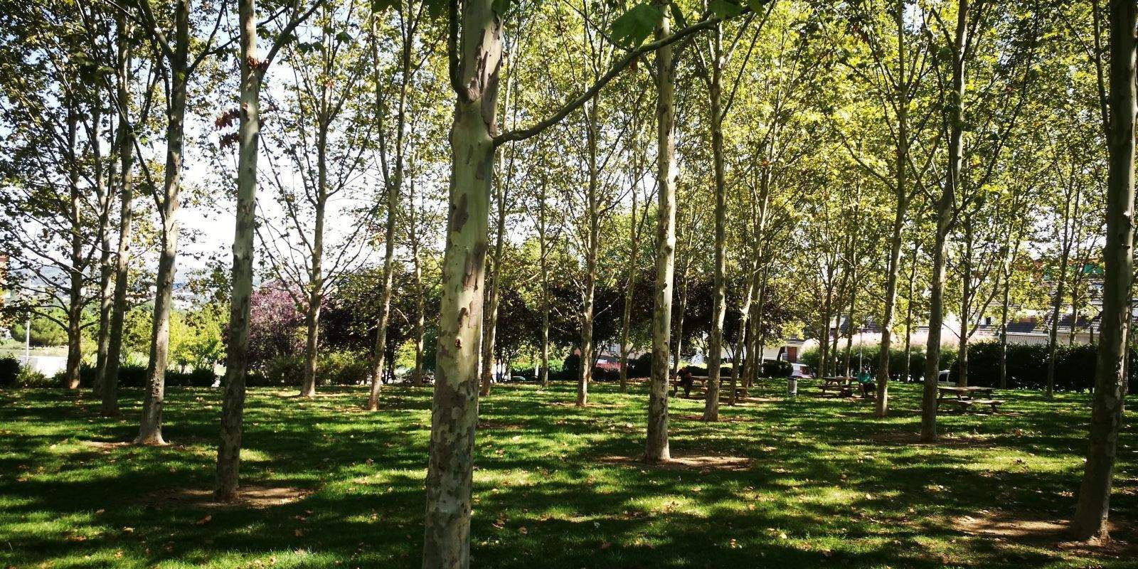 Les notícies més destacades de la setmana. Foto: Redacció