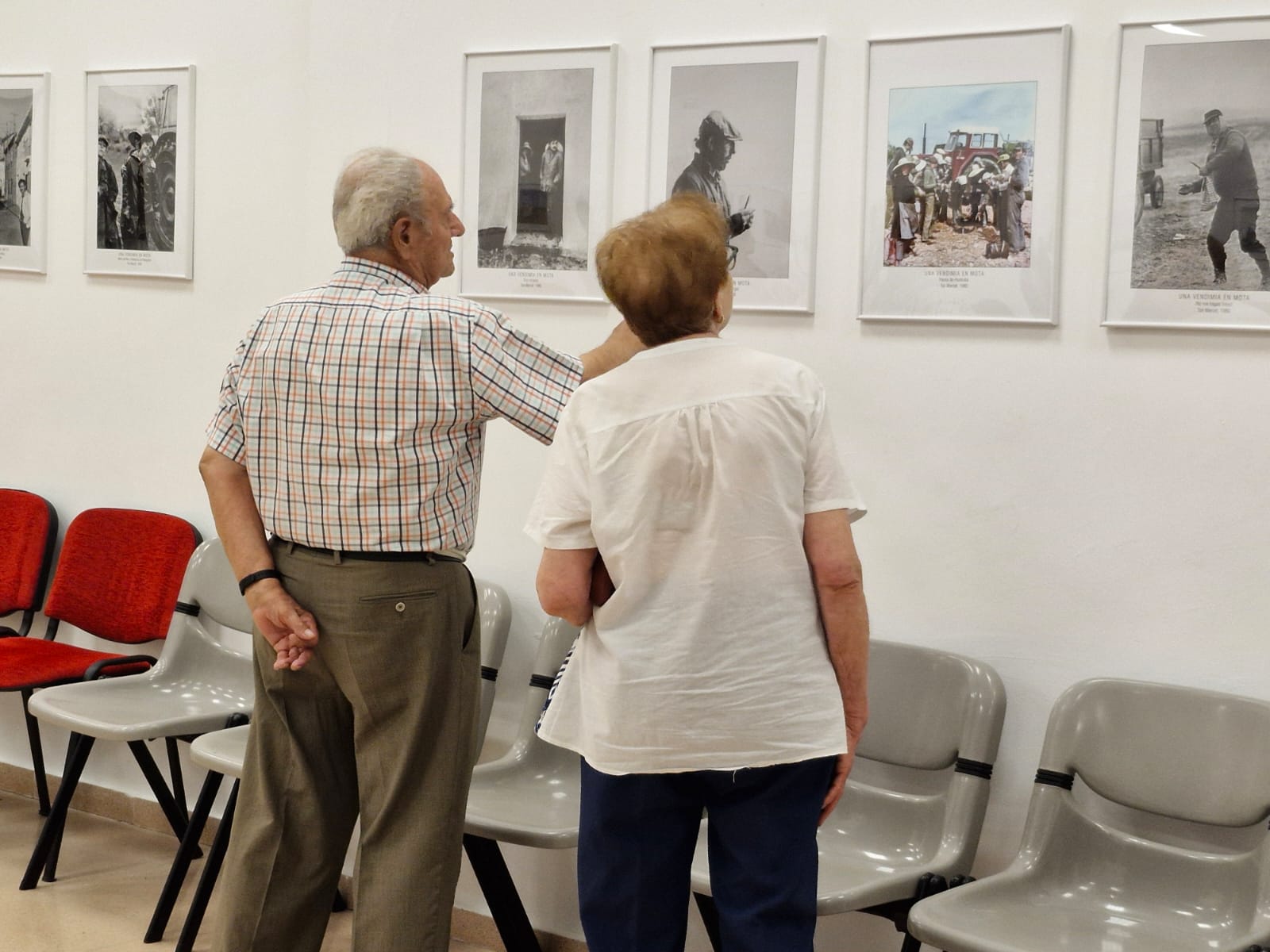 Una exposició sobre la verema connecta Rubí amb Mota del Cuervo. FOTO: Cedida Una exposició sobre la verema connecta Rubí amb Mota del Cuervo. FOTO: Cedida