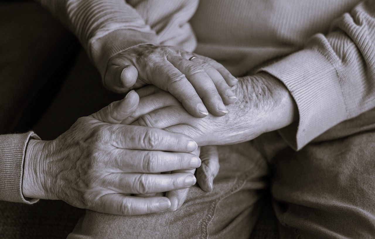 Quin model d'envelliment volem?. FOTO: Pixabay
