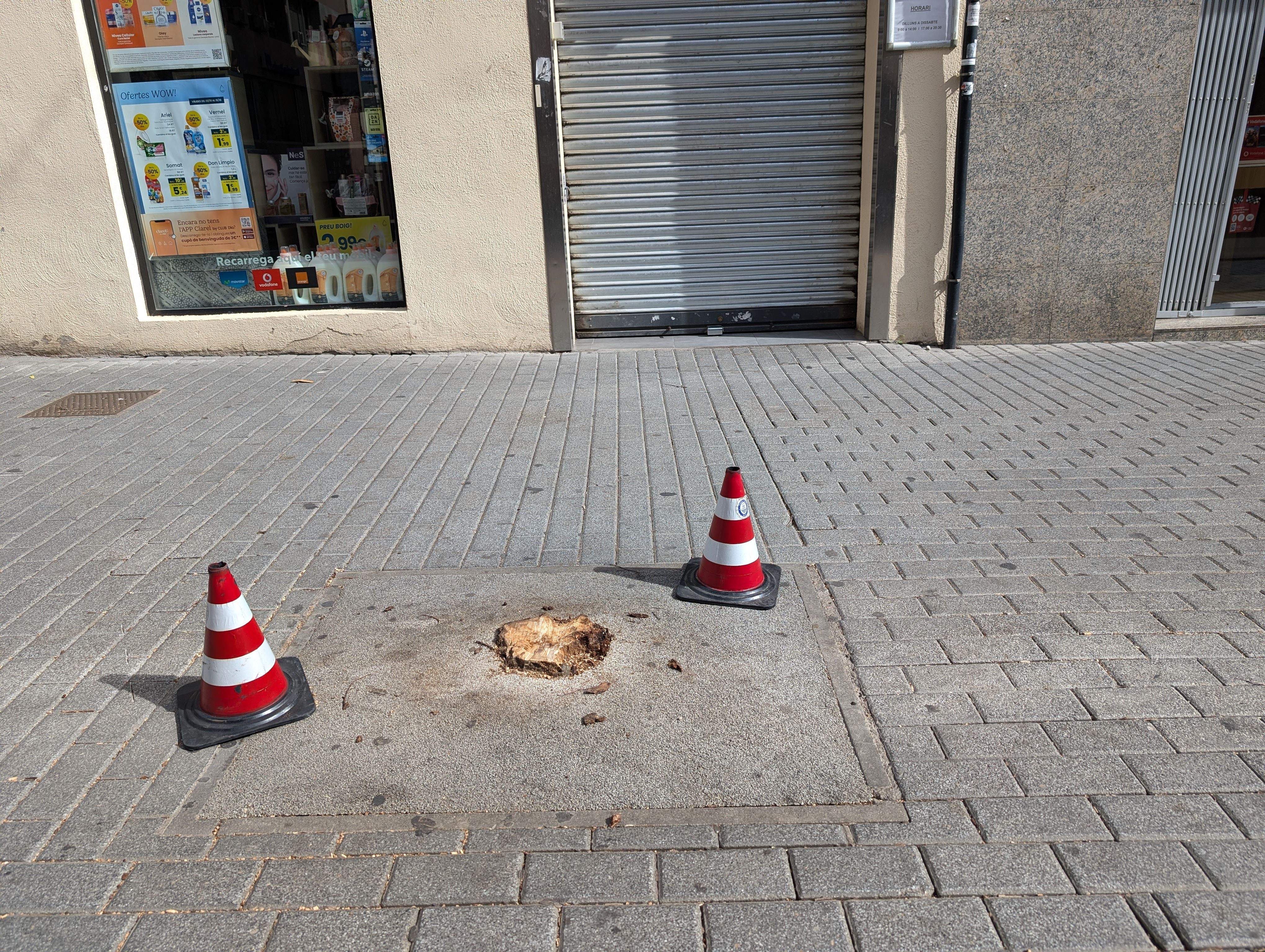 La caiguda d'un arbre fereix una dona a Rubí. FOTO: Estela Luengo