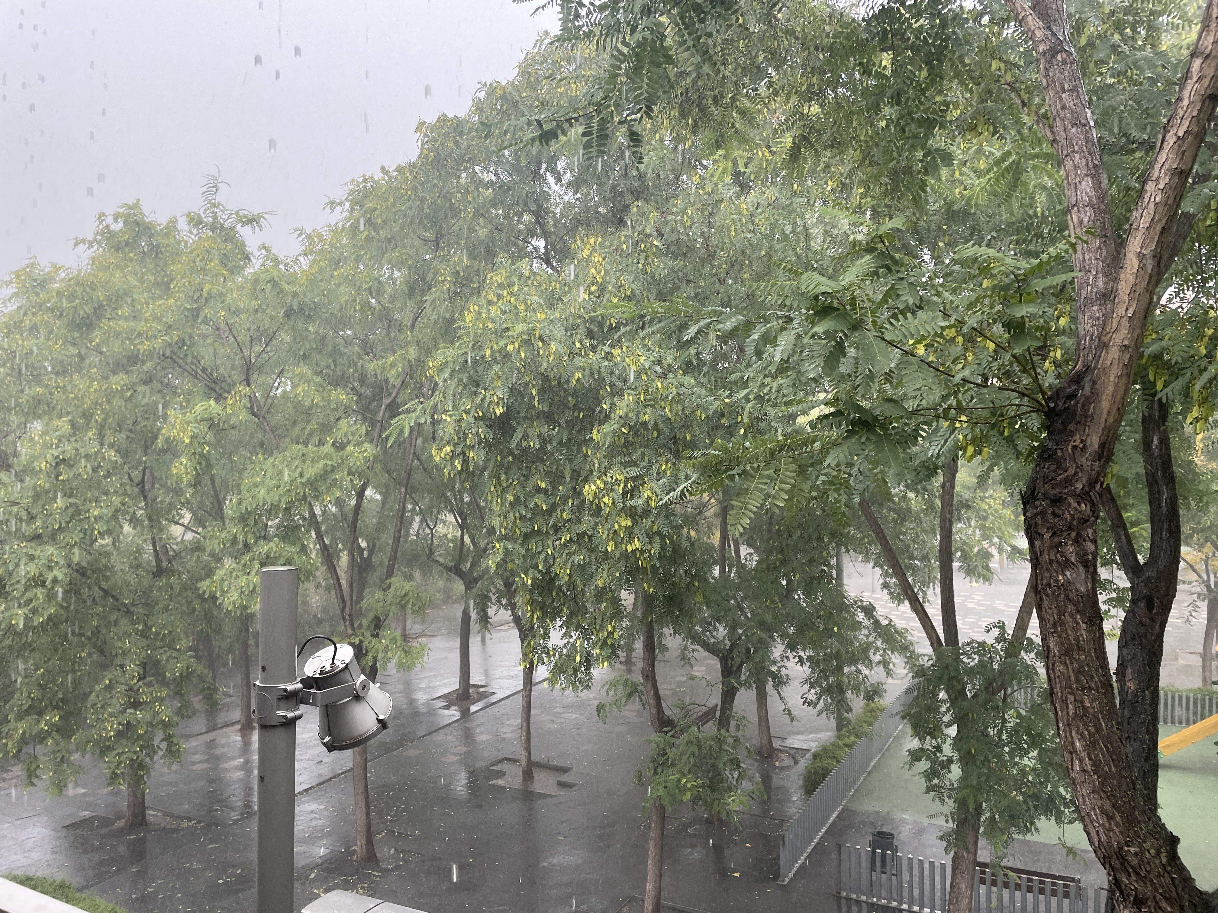 Tancats tots equipaments esportius i culturals de Rubí i suspeses les activitats extraescolars. FOTO: Redacció