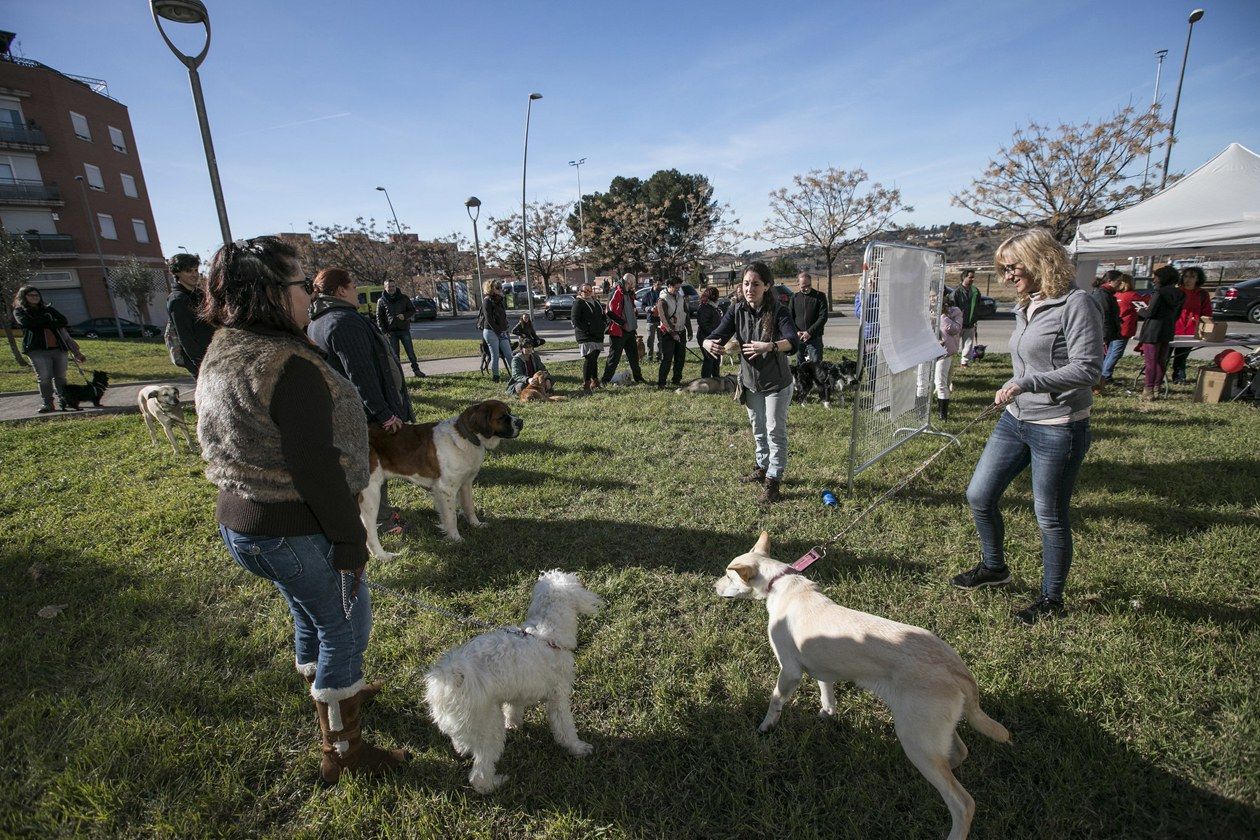 Tallers per a persones que tutelen gossos FOTO: Ajuntament de Rubí