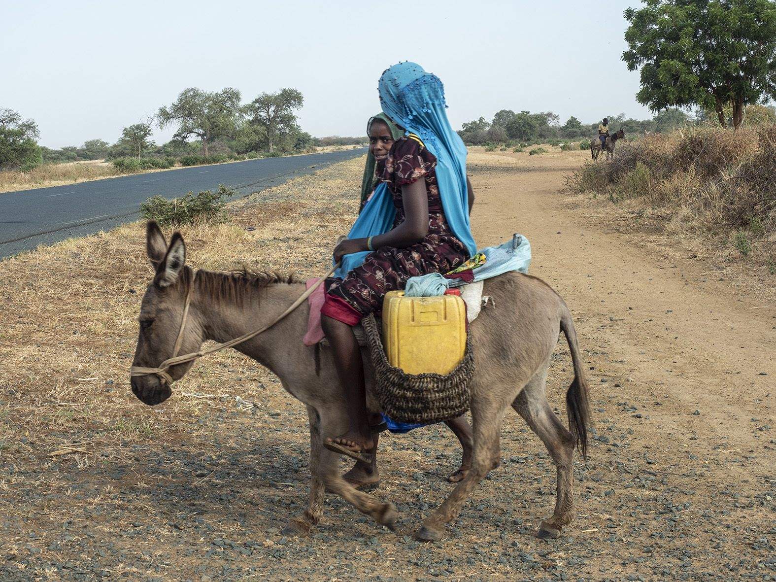 Fotografia del treball de Laia Rissech i Pere Manrique