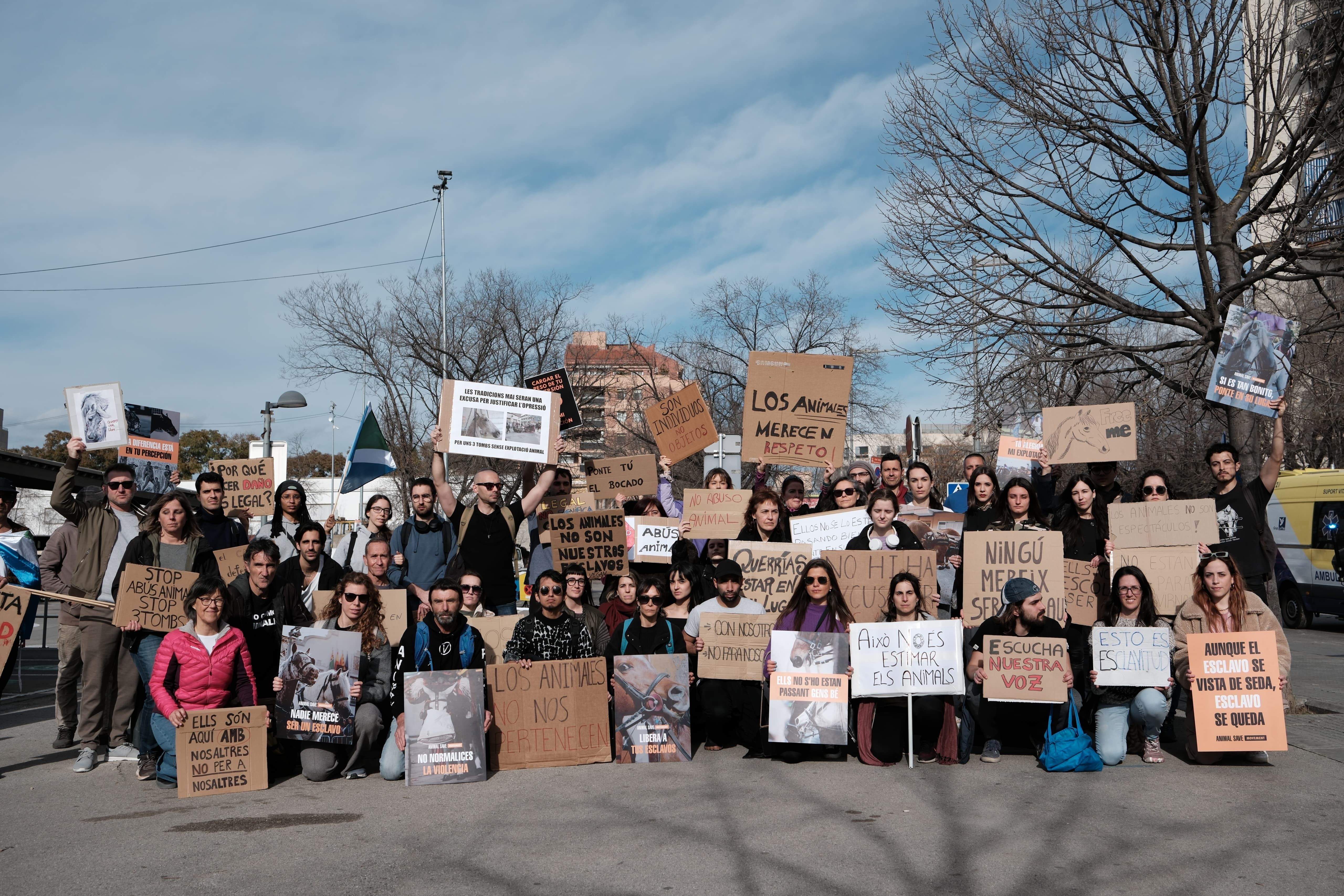 Explotació en nom de la cultura i la tradició: És hora de canviar els Tres Tombs. FOTO: Cedida/Vallès Animal Save & Barcelona Animal Save