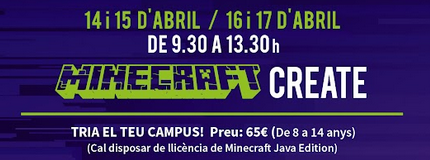 Minecraft cursos