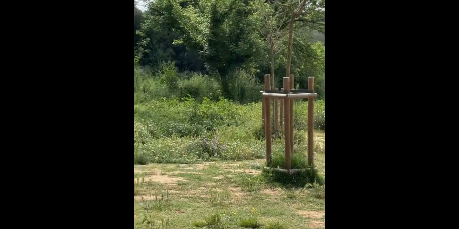 FOTODENÚNCIA| Pipicà de Ca n'Oriol en mal estat. FOTO: Marina Muñoz Galán