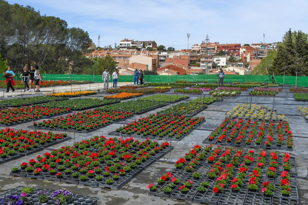 Font del Ferro celebrarà el diumenge 18 de maig la jornada anual de la primavera. FOTO: Ajuntament de Rubí – Localpres