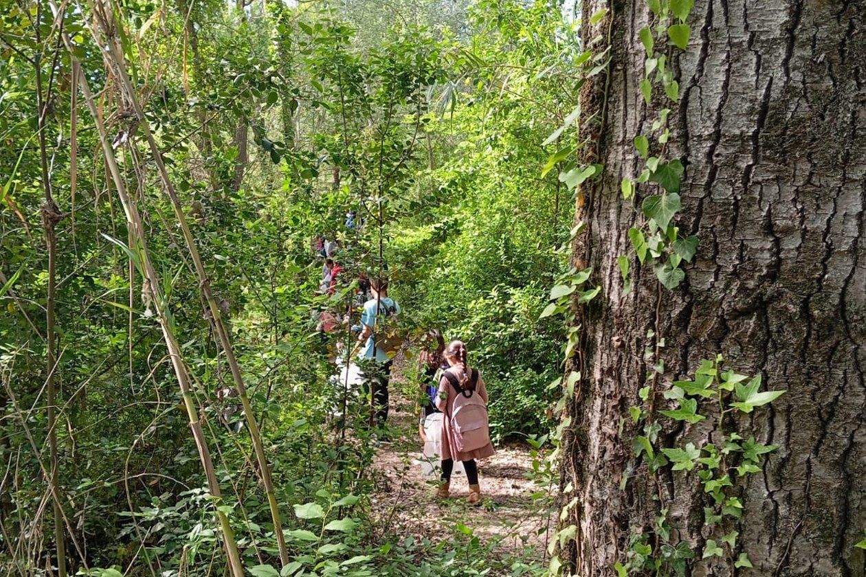 11 centres educatius de Rubí se sumen a la batuda de neteja de l'entorn natural. FOTO: Ajuntament Rubí