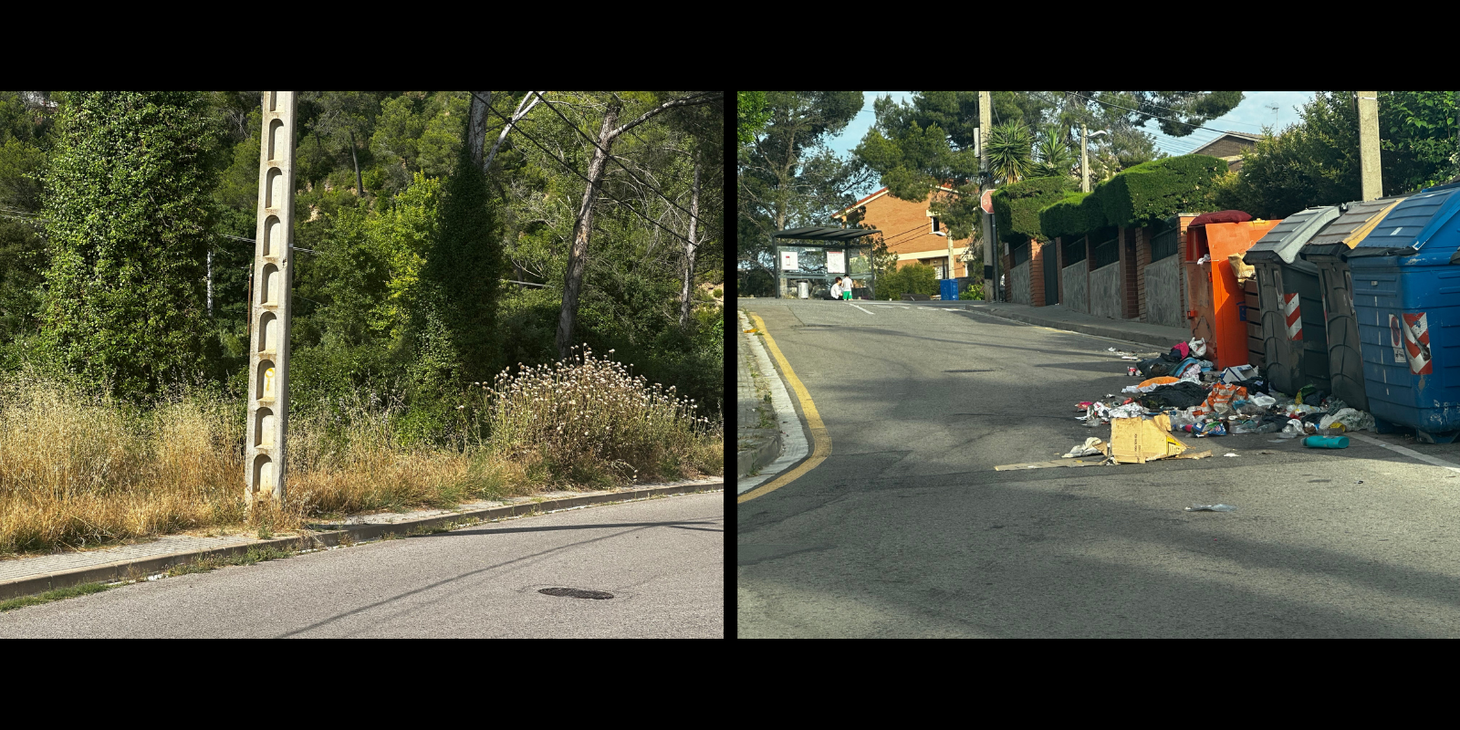 Escombraries per terra i estat de la vegetació. FOTO: Carolina Ruiz