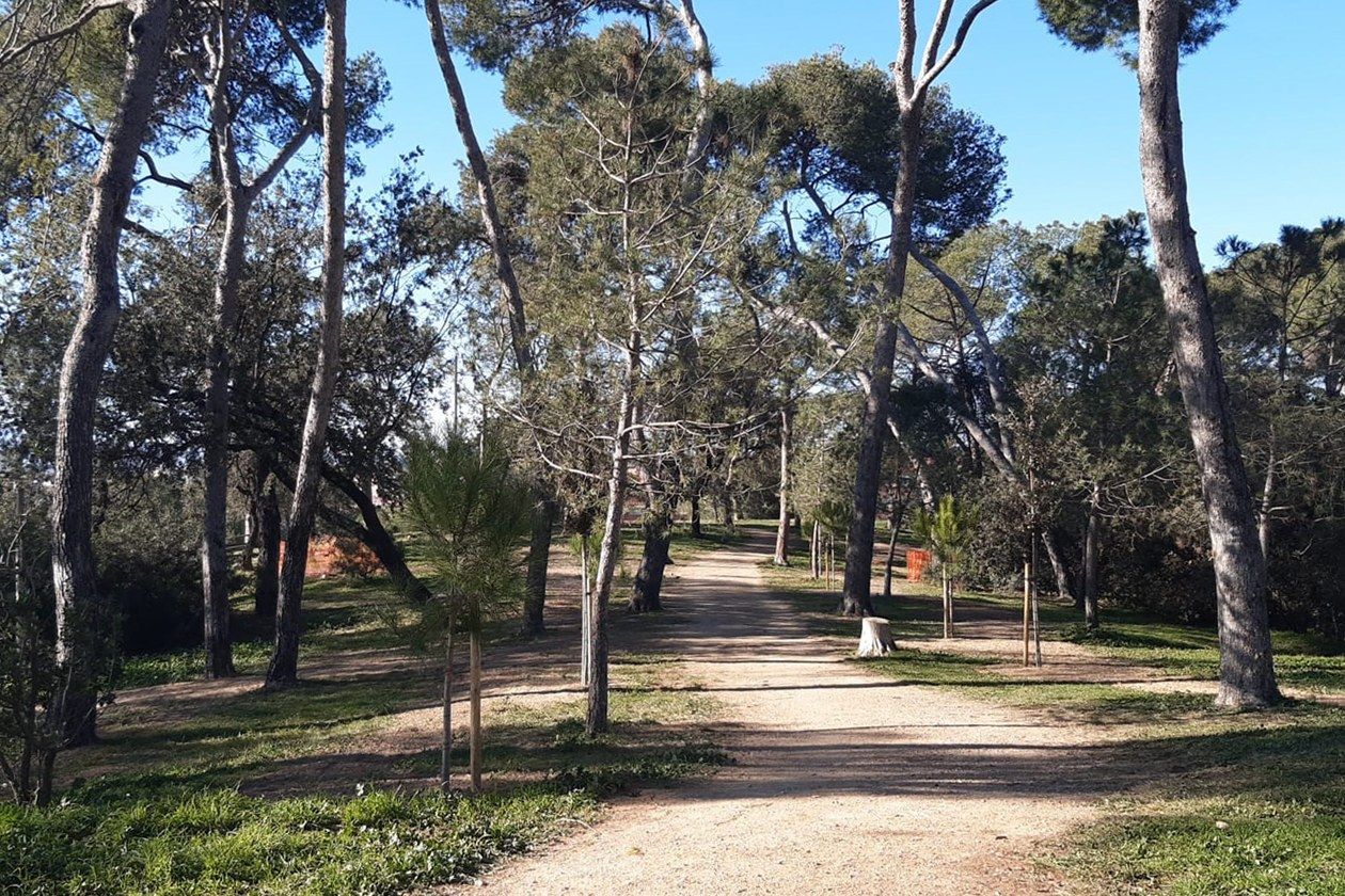 Bosc de Ca n'Oriol. FOTO: Ajuntament de Rubí