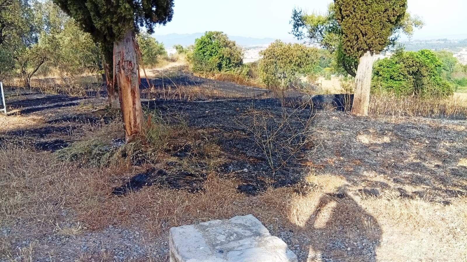 Zona cremada prop de Ca n'Oriol. FOTO: Marta Casas