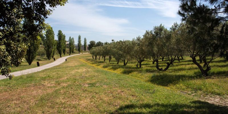 Parc Pinetons Ripollet