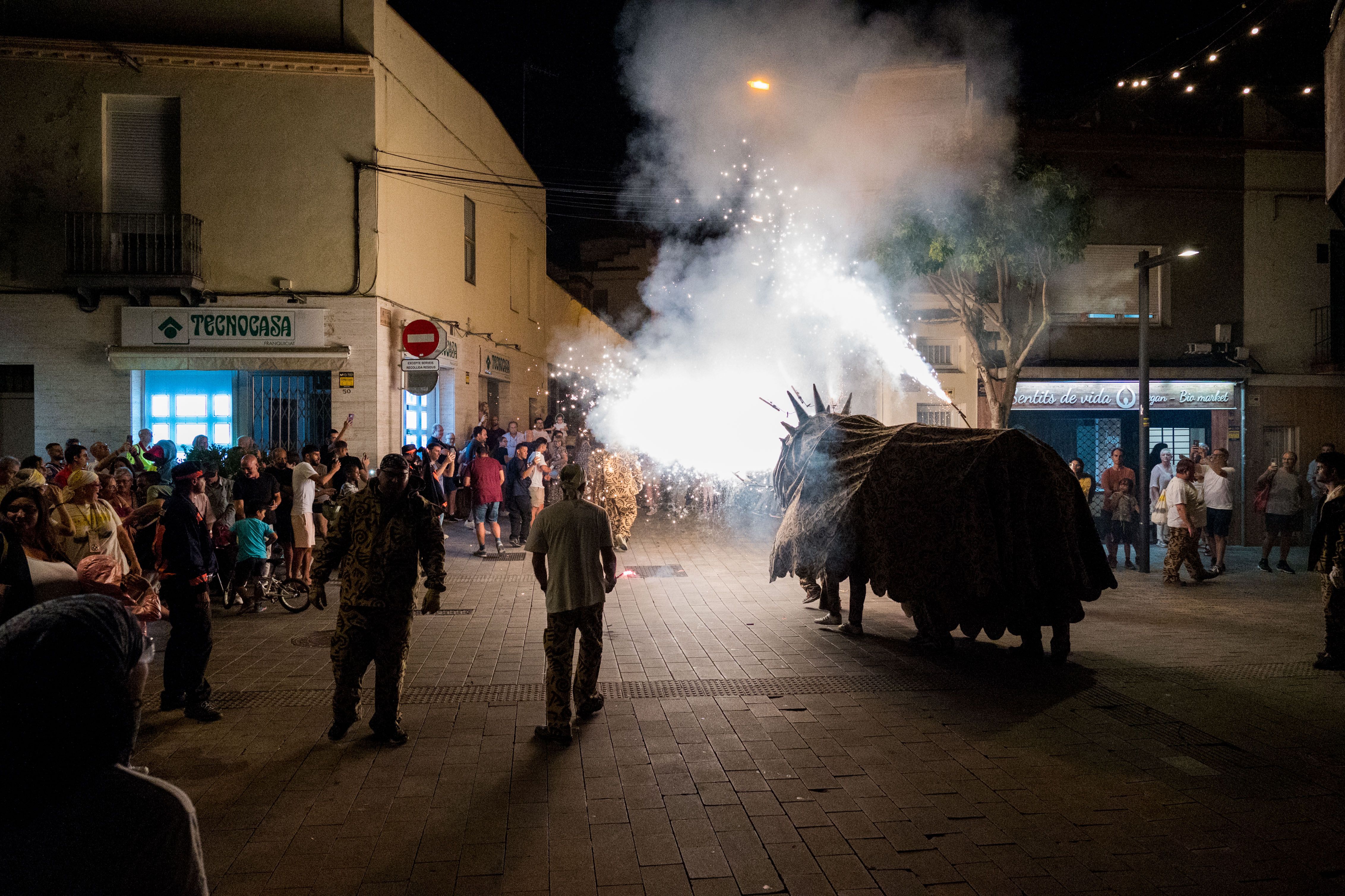 Trobada de Bèsties de Sant Roc 2025 FOTO: Carmelo Jiménez