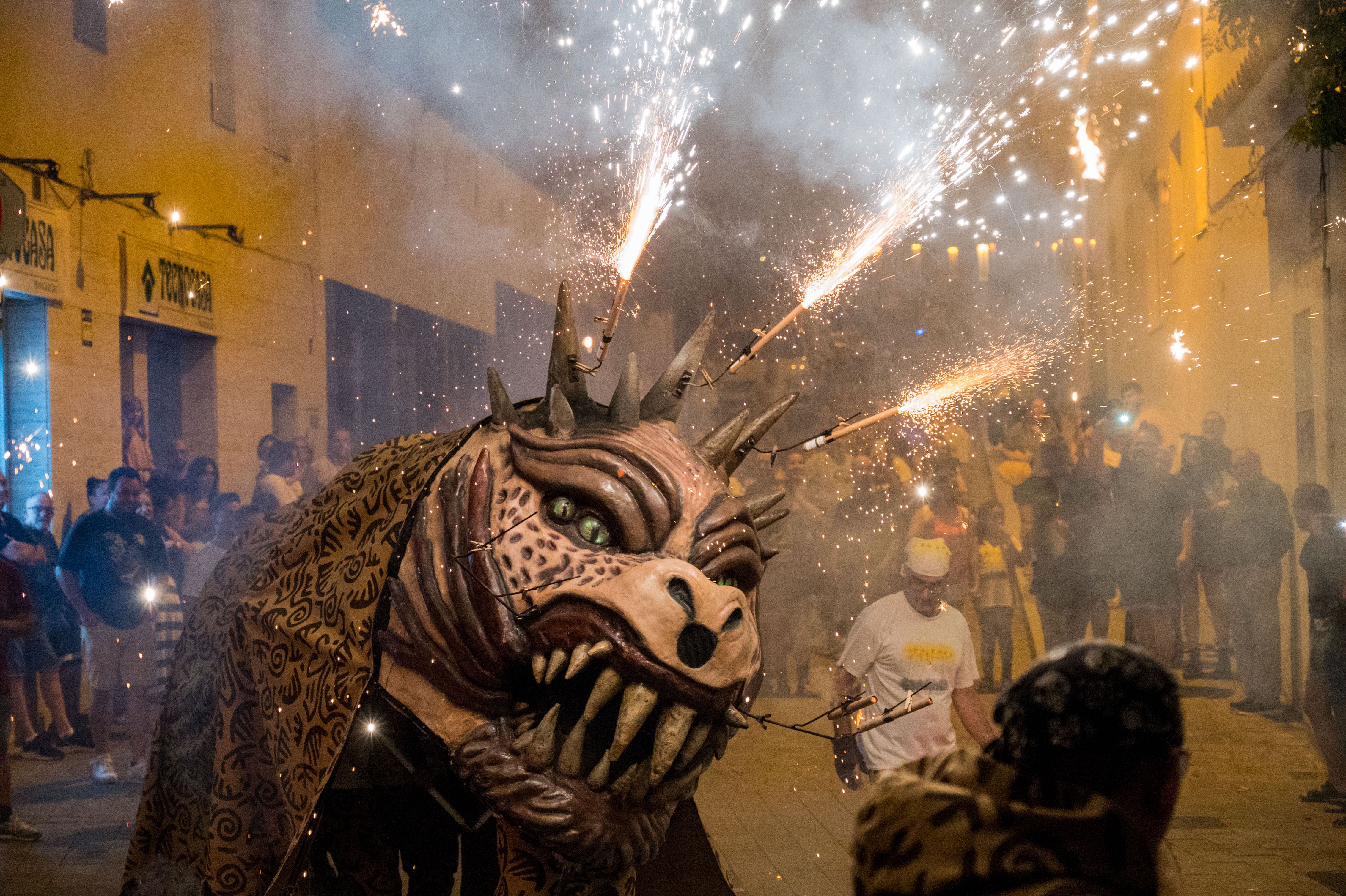 Trobada de Bèsties de Sant Roc 2025 FOTO: Carmelo Jiménez