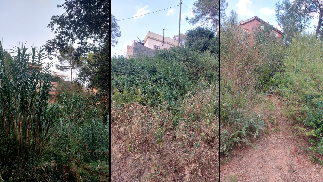 El torrent de Can Tallafigueres. FOTOS: Associació de veïns del barri dels Avets