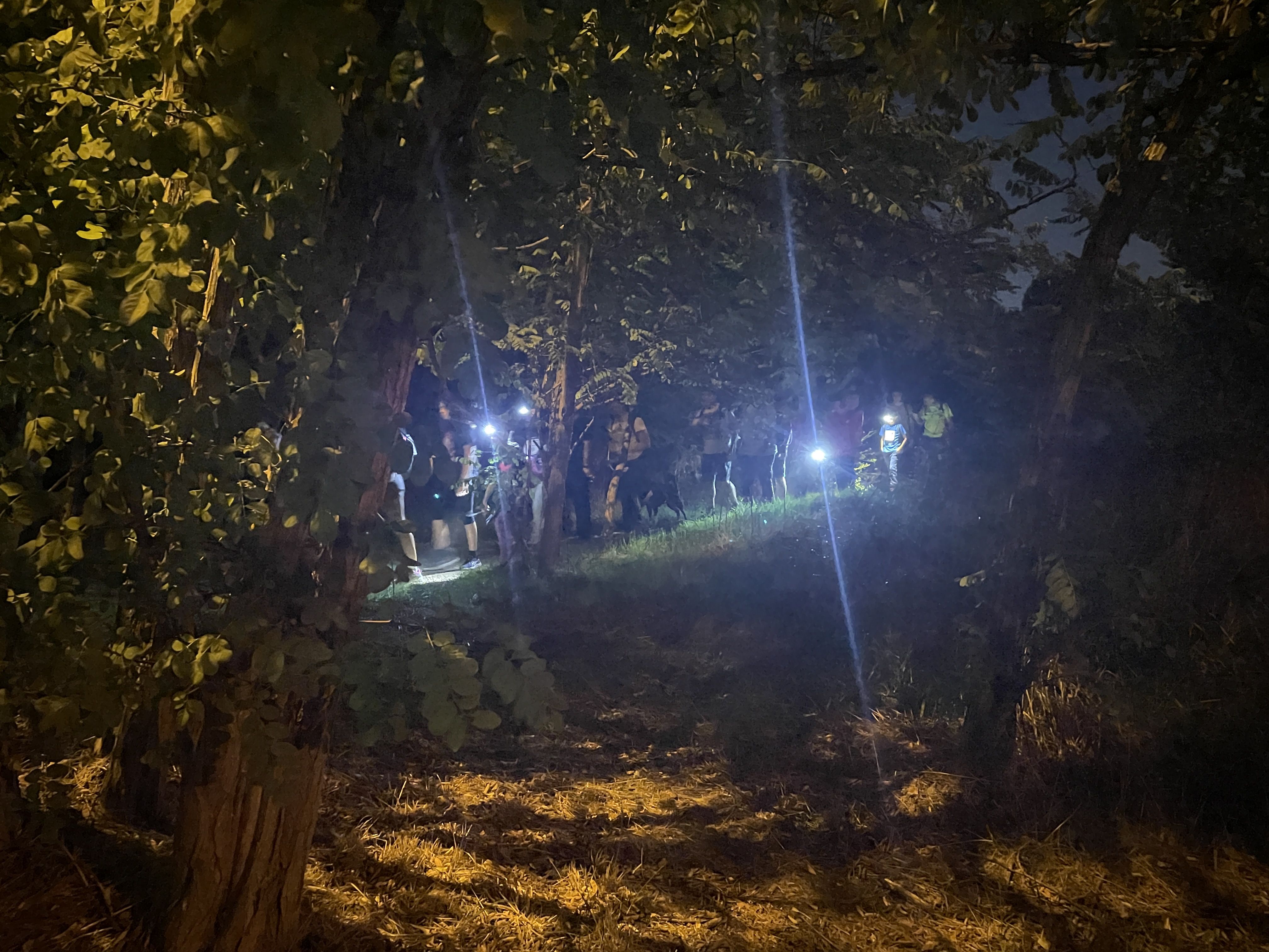 La Caminada Nocturna 2025 FOTO: Marta Casas