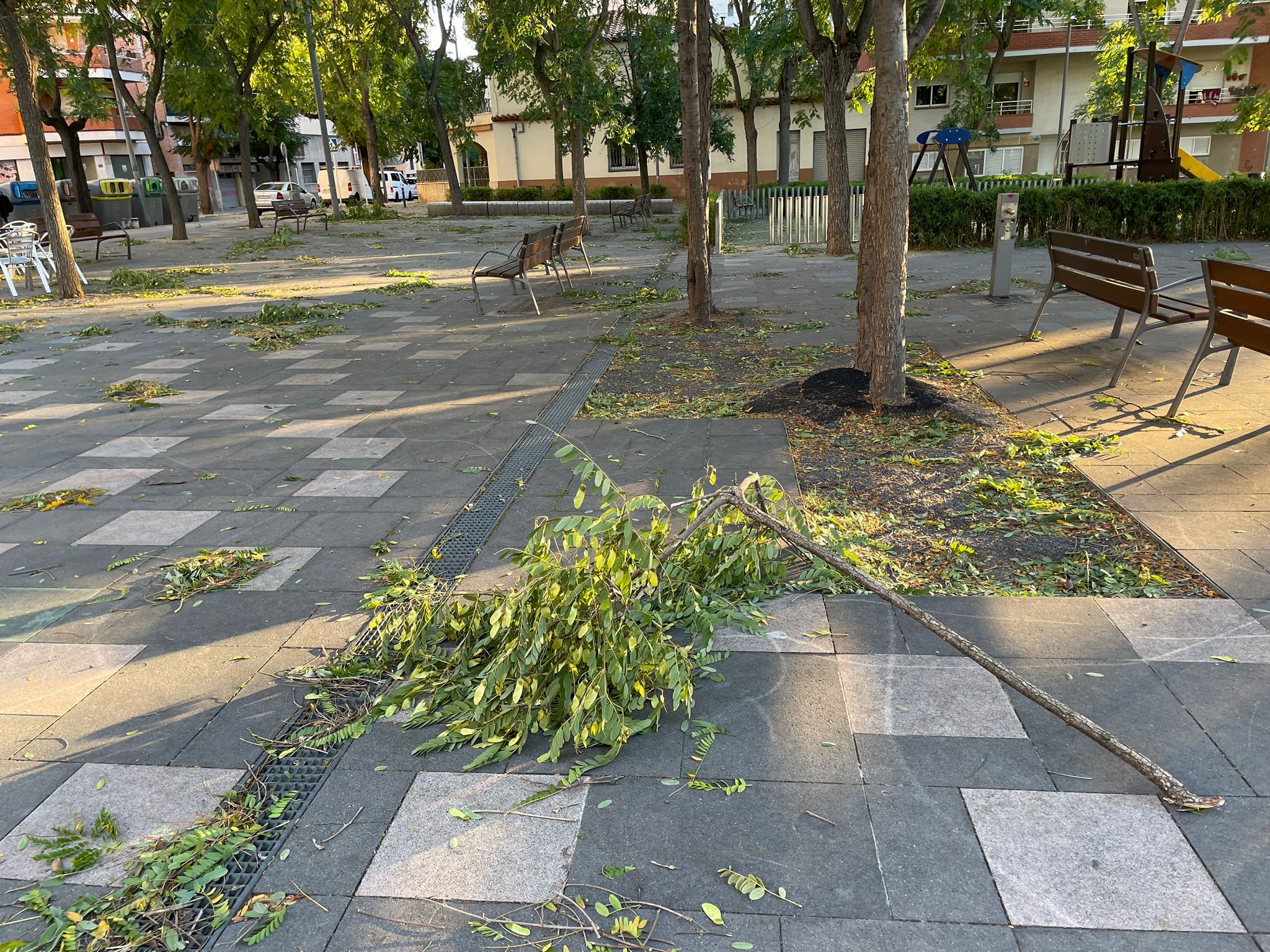 Branques caigues per les fortes ratxes de vent d'aquest dijous. 23 d'octubre. FOTO: Estela Luengo
