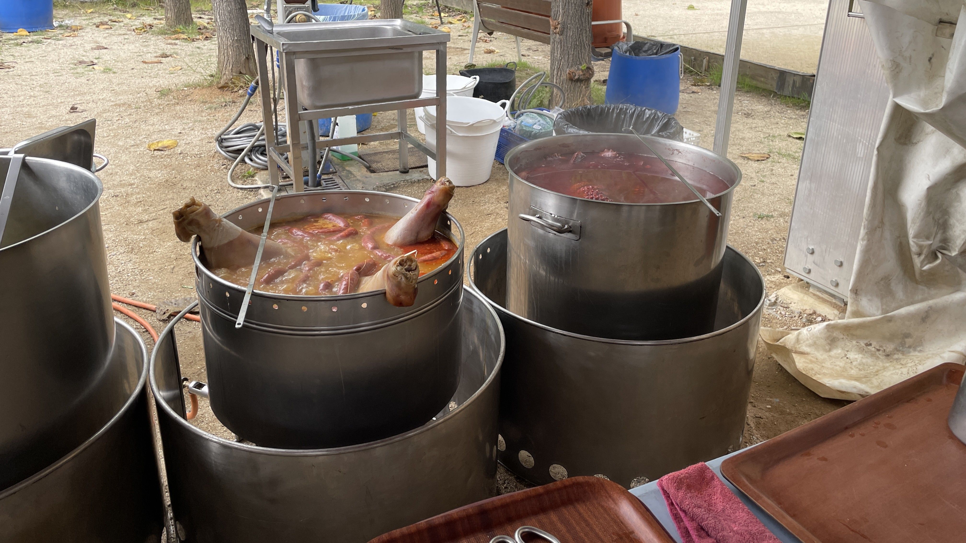 Bailes do Camiño 2025 FOTO: Marta Casas