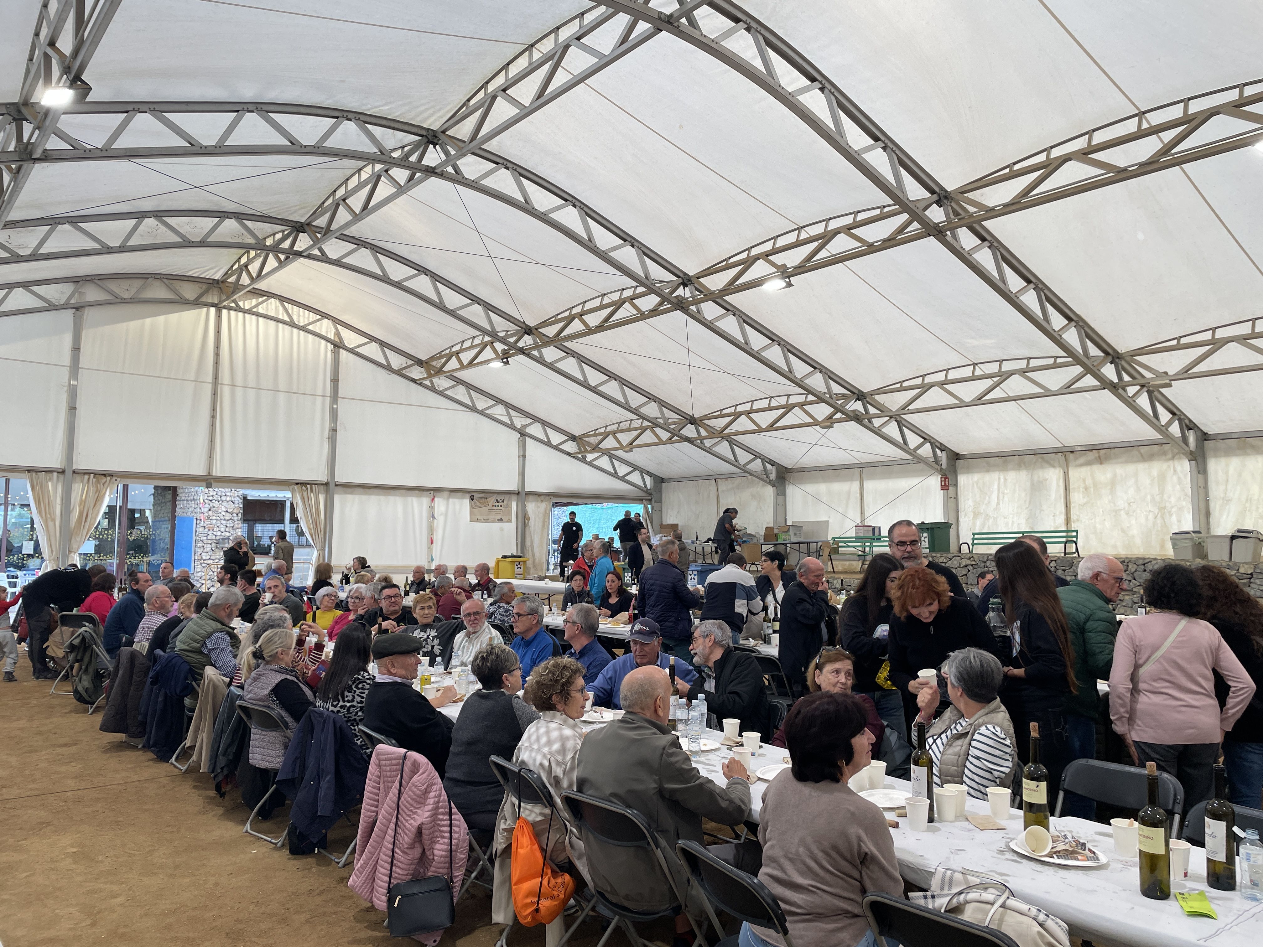 Bailes do Camiño 2025 FOTO: Marta Casas