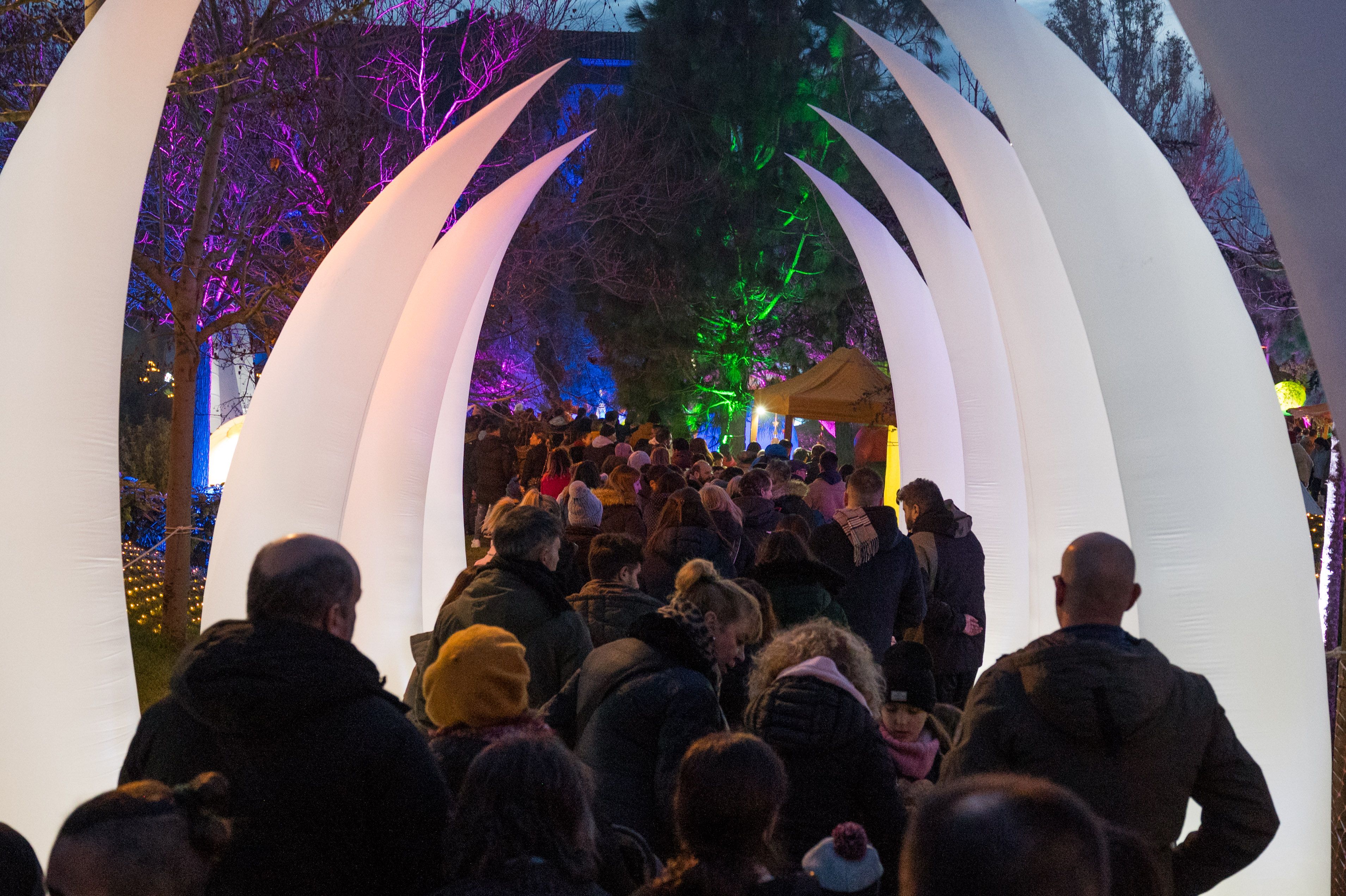 El Campament del Mag Rubisenc 2026 FOTO: Carmelo Jiménez