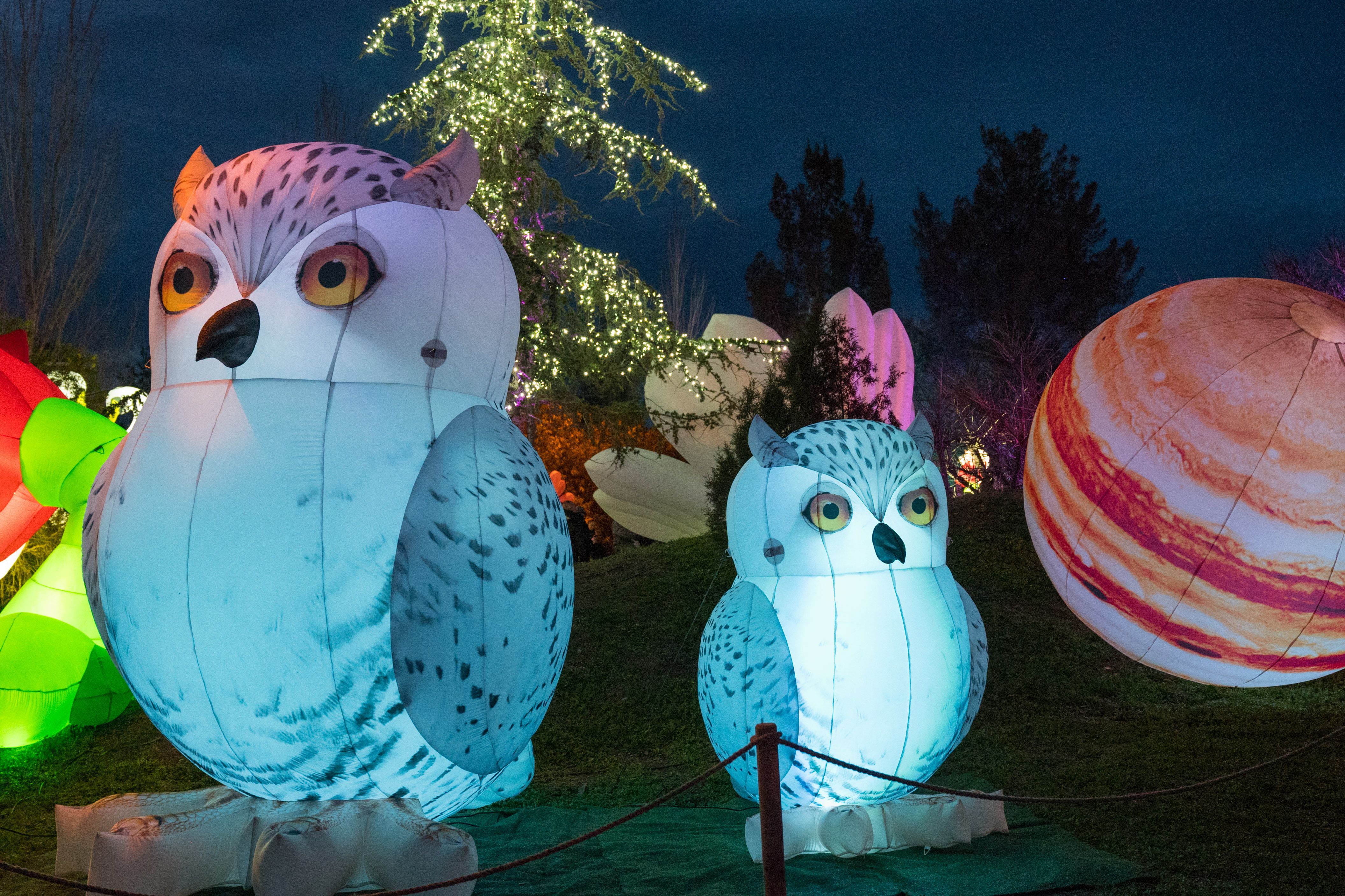 El Campament del Mag Rubisenc 2026 FOTO: Carmelo Jiménez