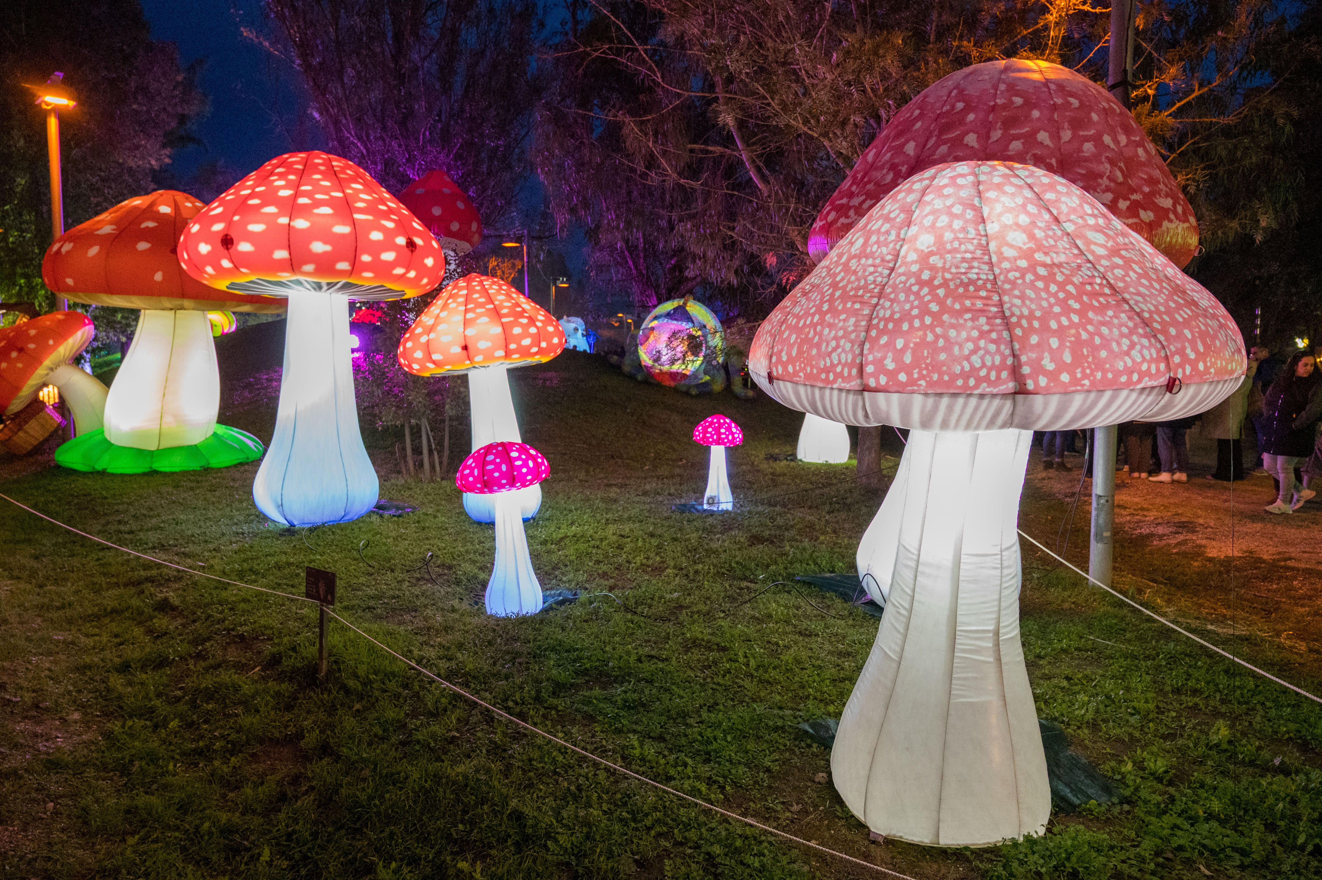 El Campament del Mag Rubisenc 2026 FOTO: Carmelo Jiménez