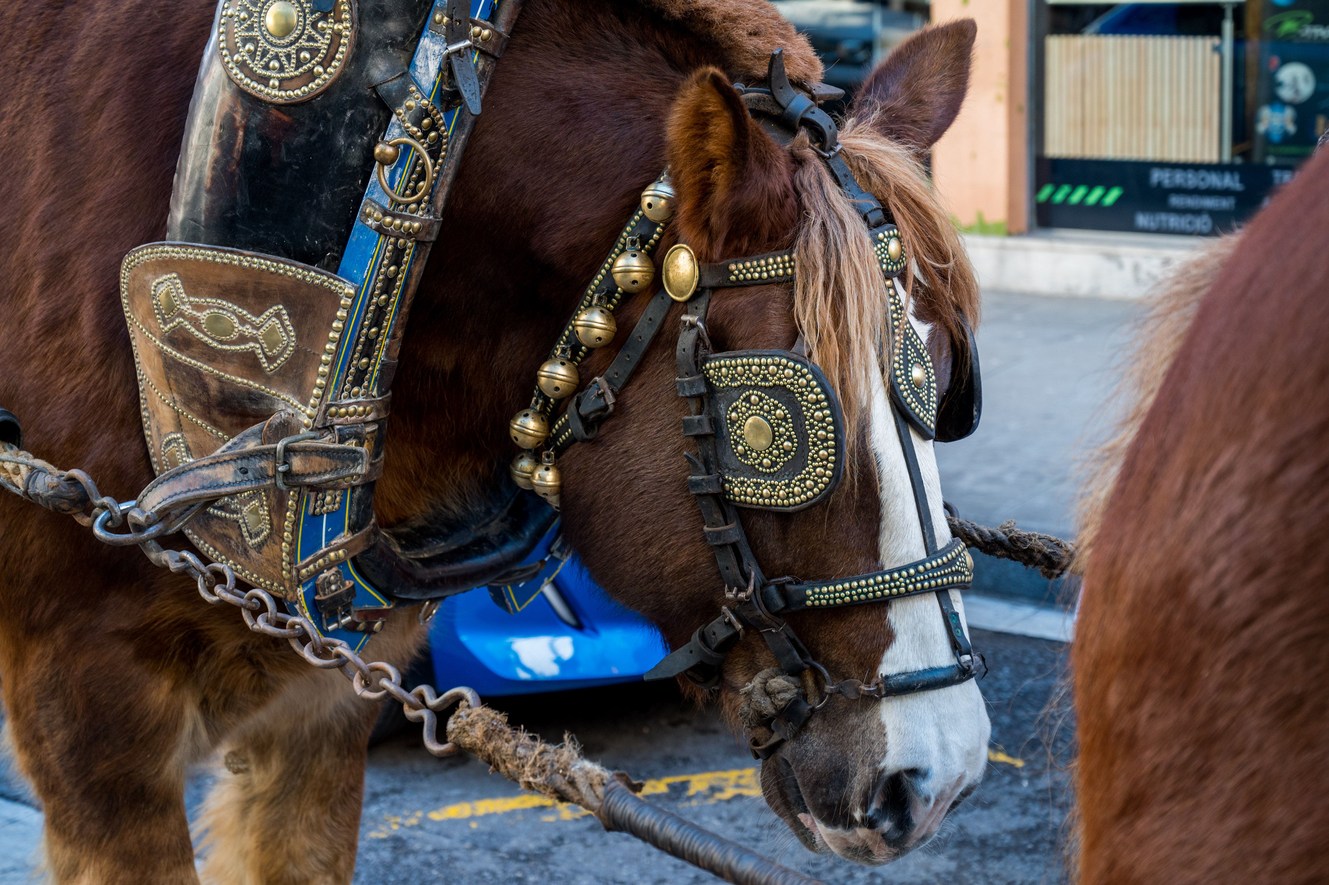 Rua dels Tres Tombs a Rubí 2026 FOTO: Carmelo Jiménez