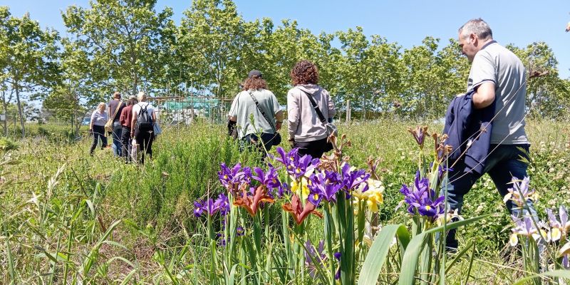 Dia de la Terra, esdeveniment destacat a Rubí. FOTO: Cedida
