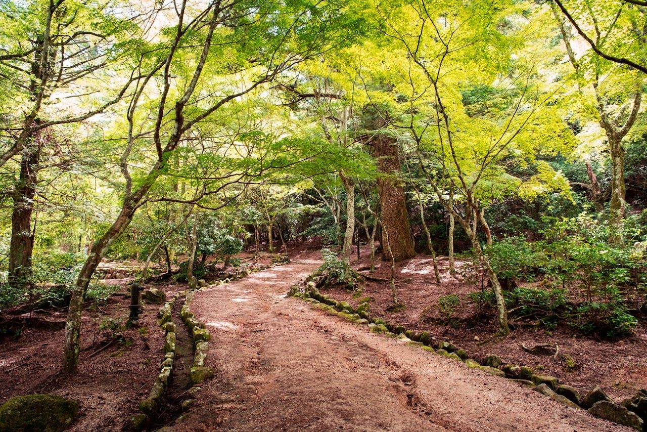 El 'Jardí japonès' de Ramon Batalla es podrà veure fins al 29 de maig a Barcelona FOTO: Ramon Batalla