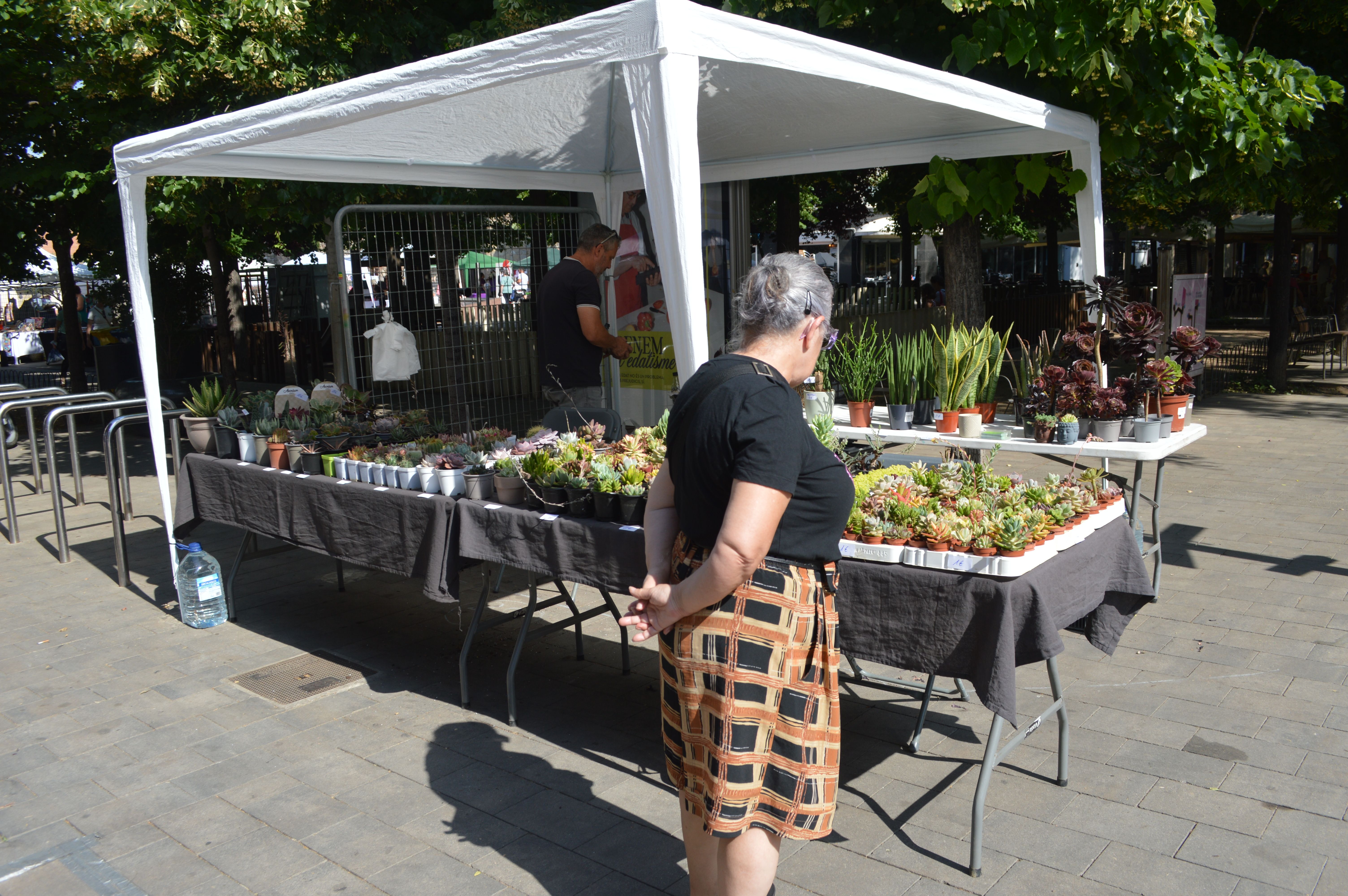 Fira de Primavera de l'Associació Sant Galderic