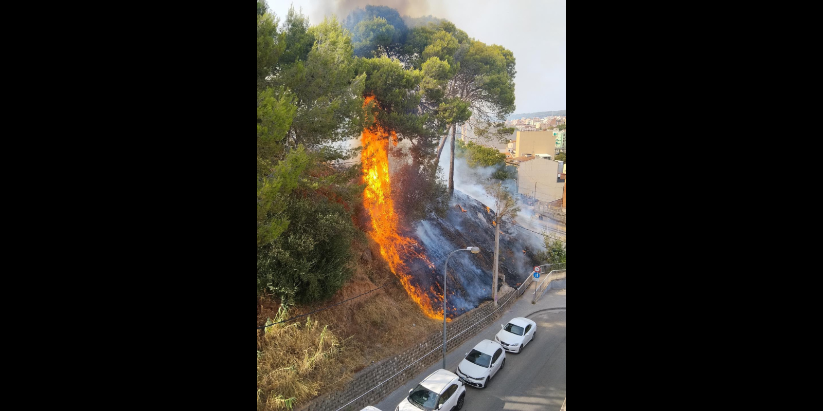 Incendi de zona arbrada al carrer de la Perla. FOTO: Cedida/Oriol Fe