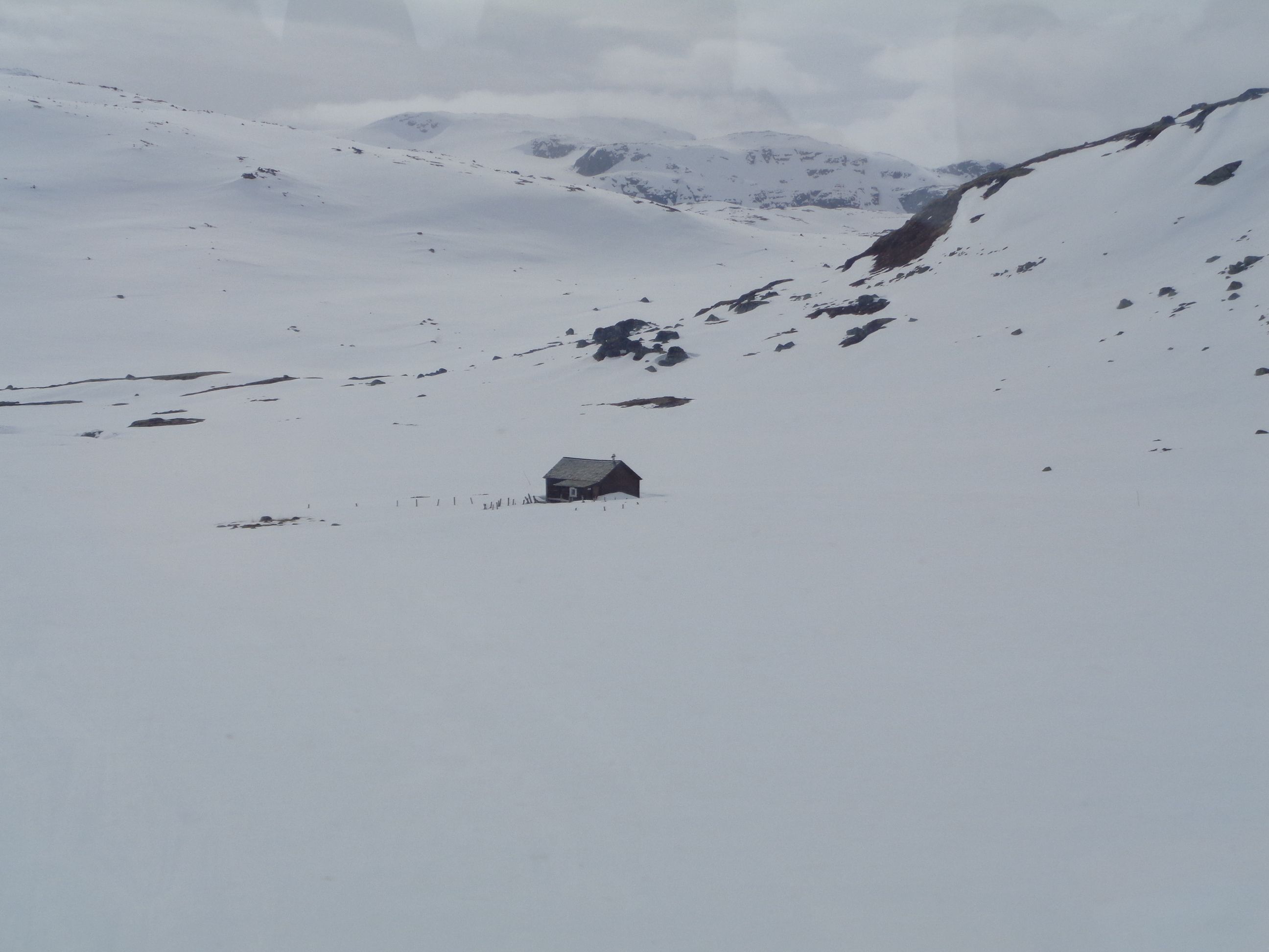 Sol, solet · Altiplà de Hardangervidda, Noruega FOTO: Olga Sentís Barja
