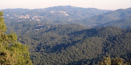 El Parc Natural de Collserola FOTO: Cedida