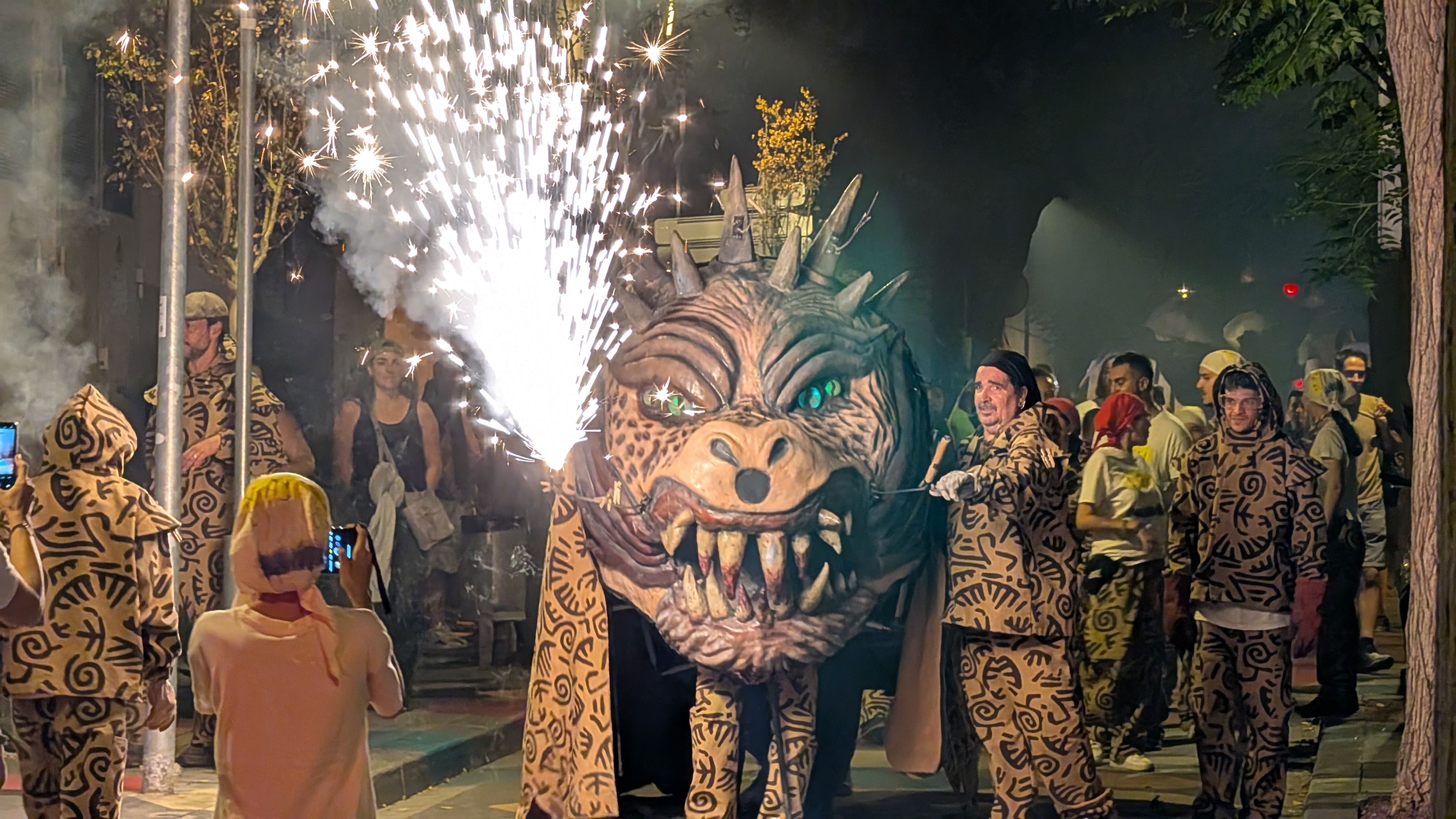 XIV Trobada de Bèsties de FOC pels Tocs de Sant Roc FOTO: Marta Casas
