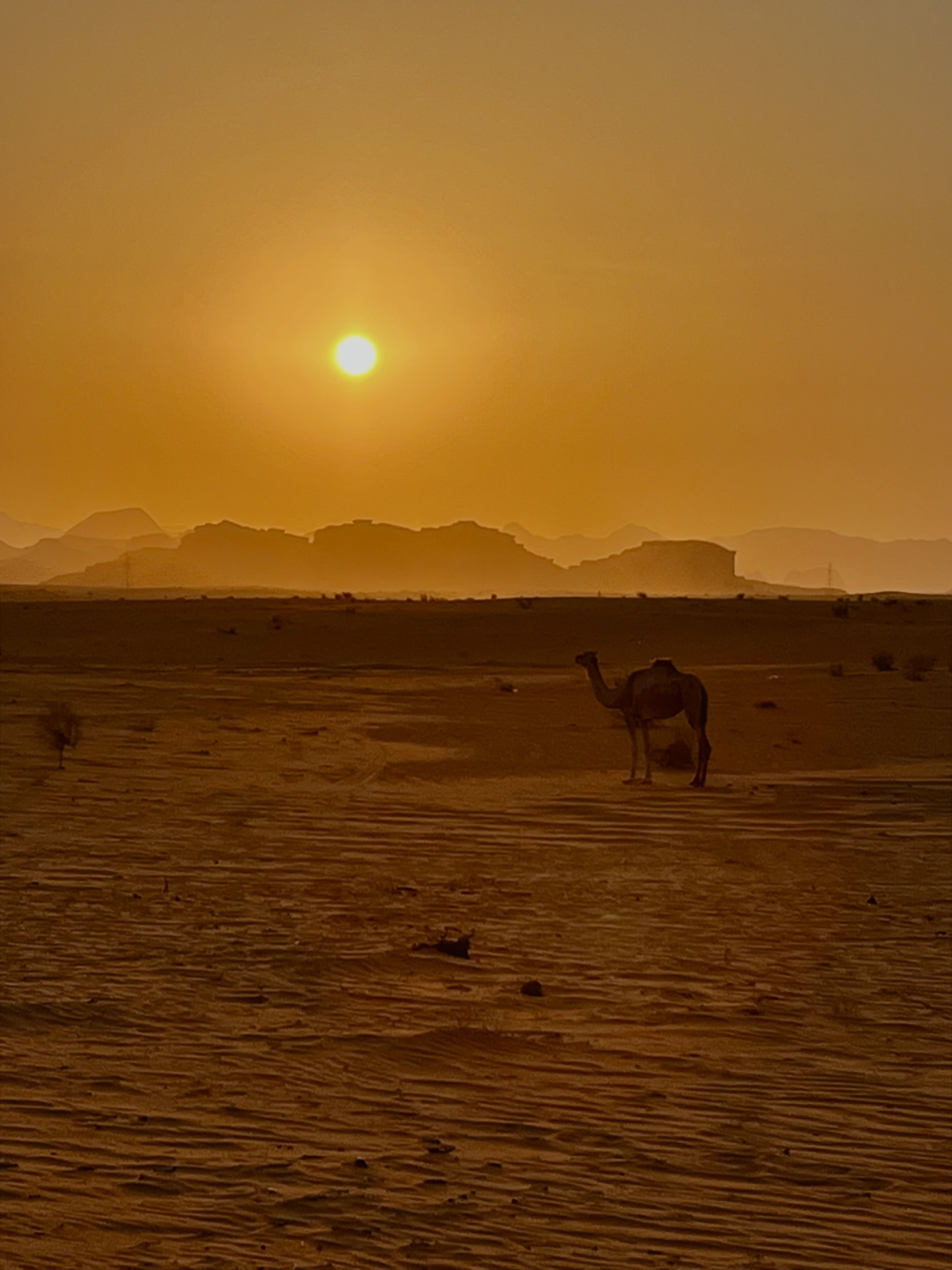 Atardecer en el desierto · Desierto de Wadi Rum FOTO: Aitxiber CanalesMartin