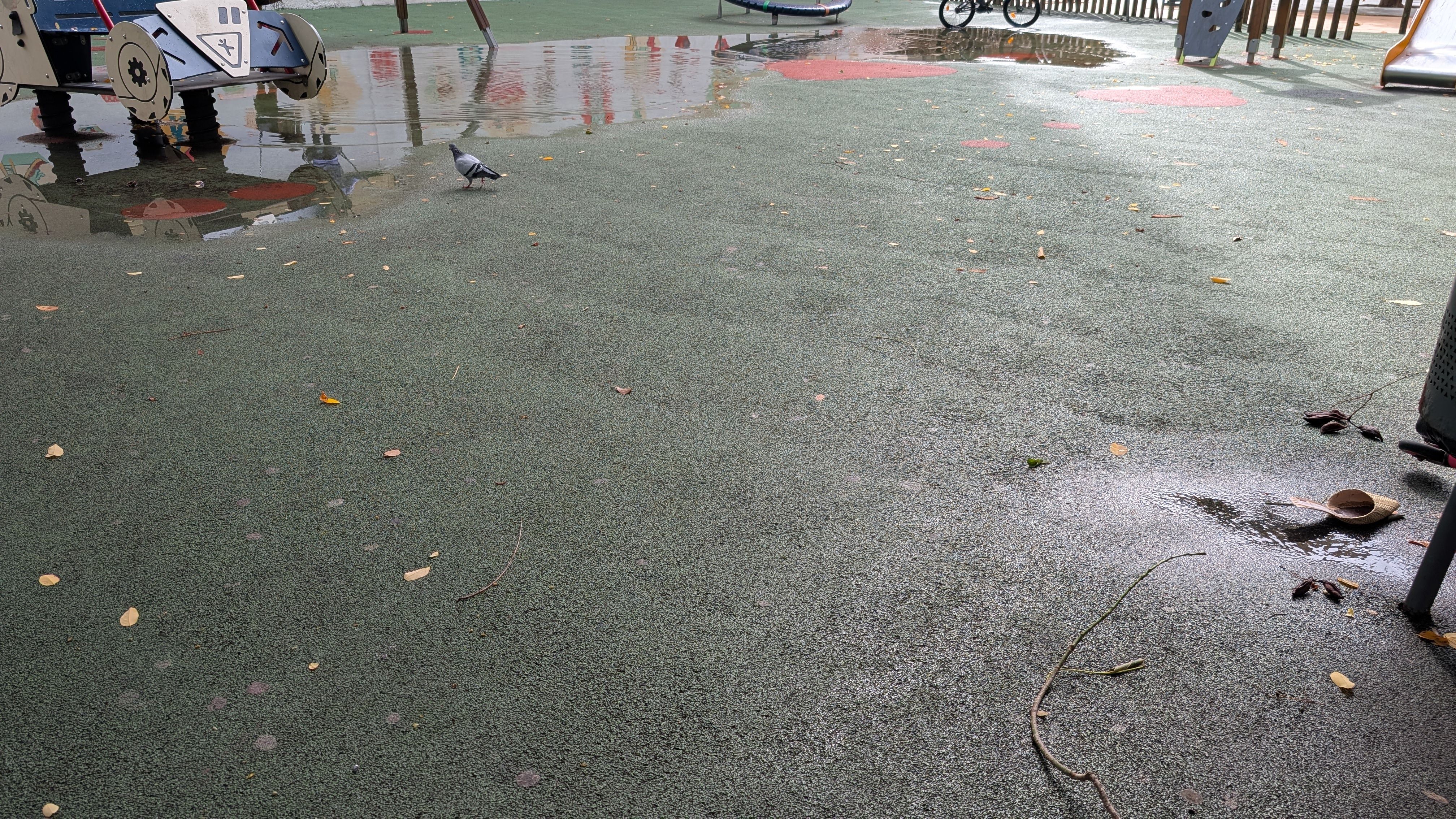 Un gran bassal al parc infantil de la plaça Neus Català FOTO: Marta Casas