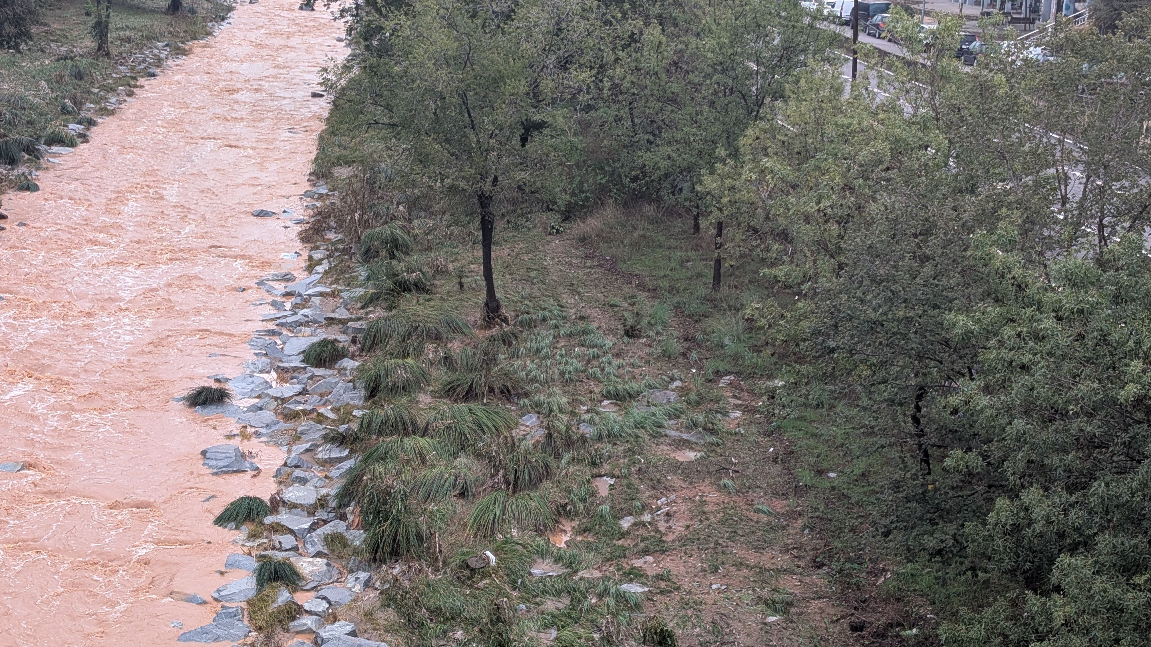 La vegetació de la Riera deixa constància del pas de l'aigua FOTO: Marta Casas