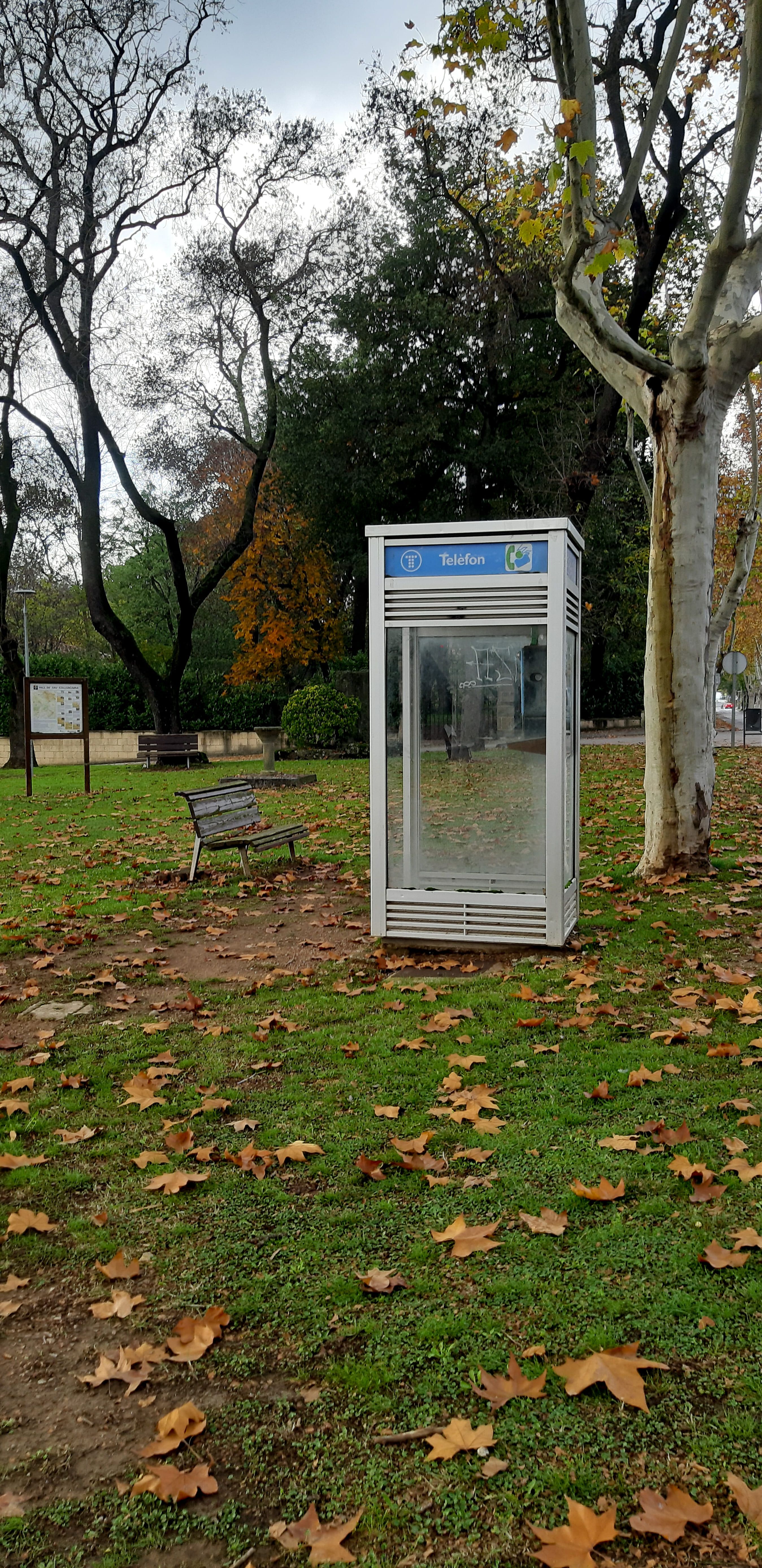 La tardor de la comunicació · Sant Julià de Vilatorta FOTO: Diego Iruela Gutiérrez