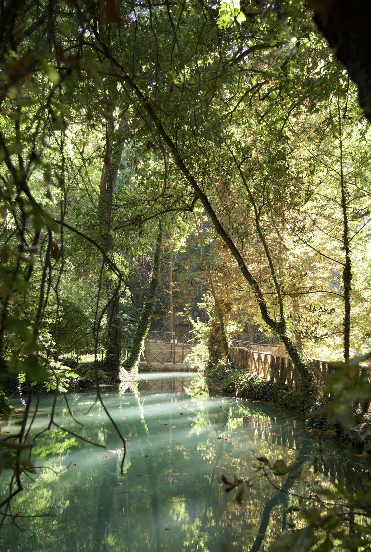 Naturaleza pura · Monasterio de piedra FOTO: Sara Romero Rodríguez