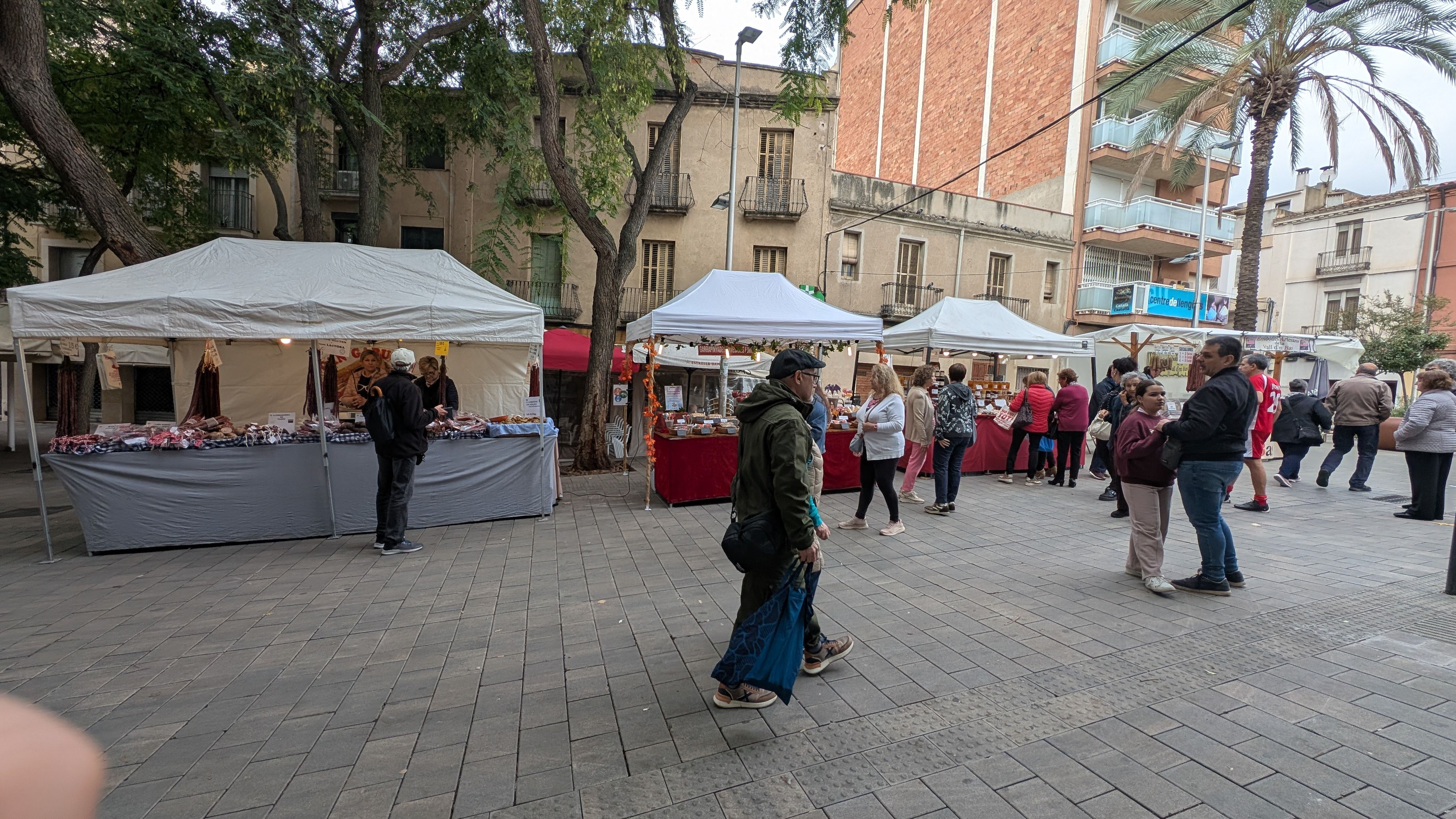 Parades de pagesia a la Fira de Sant Galderic FOTO: Marta Casas